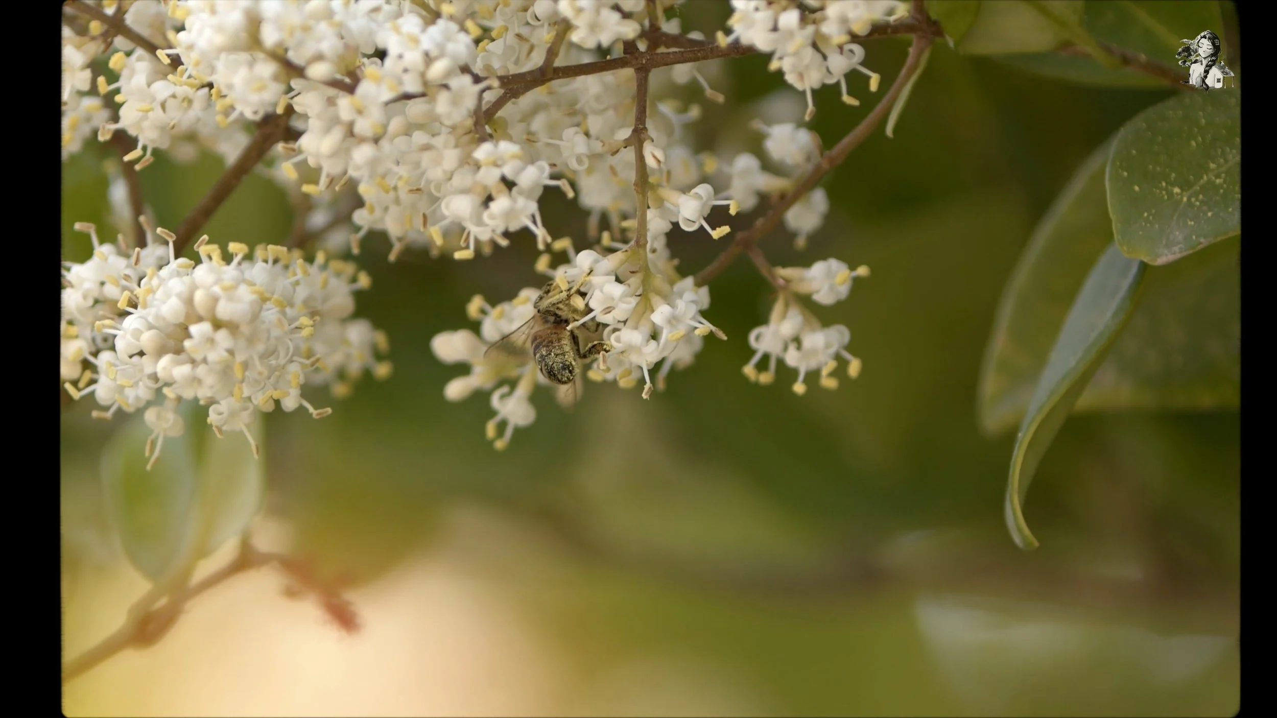 how I spend my first week of May_1.125.1.jpg