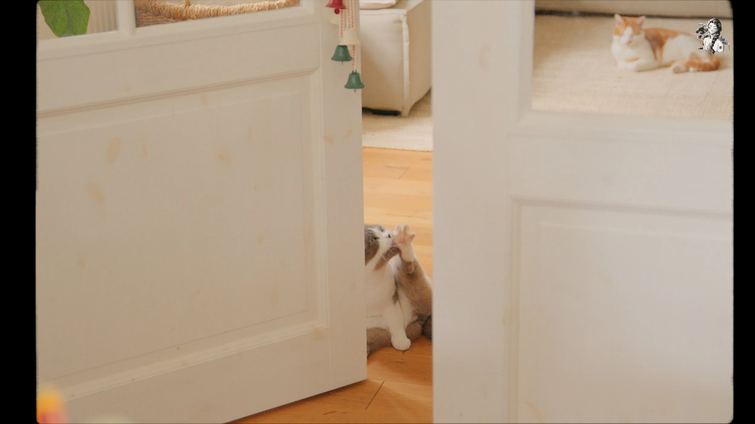 how I spend my first week of May_1.128.1.jpg