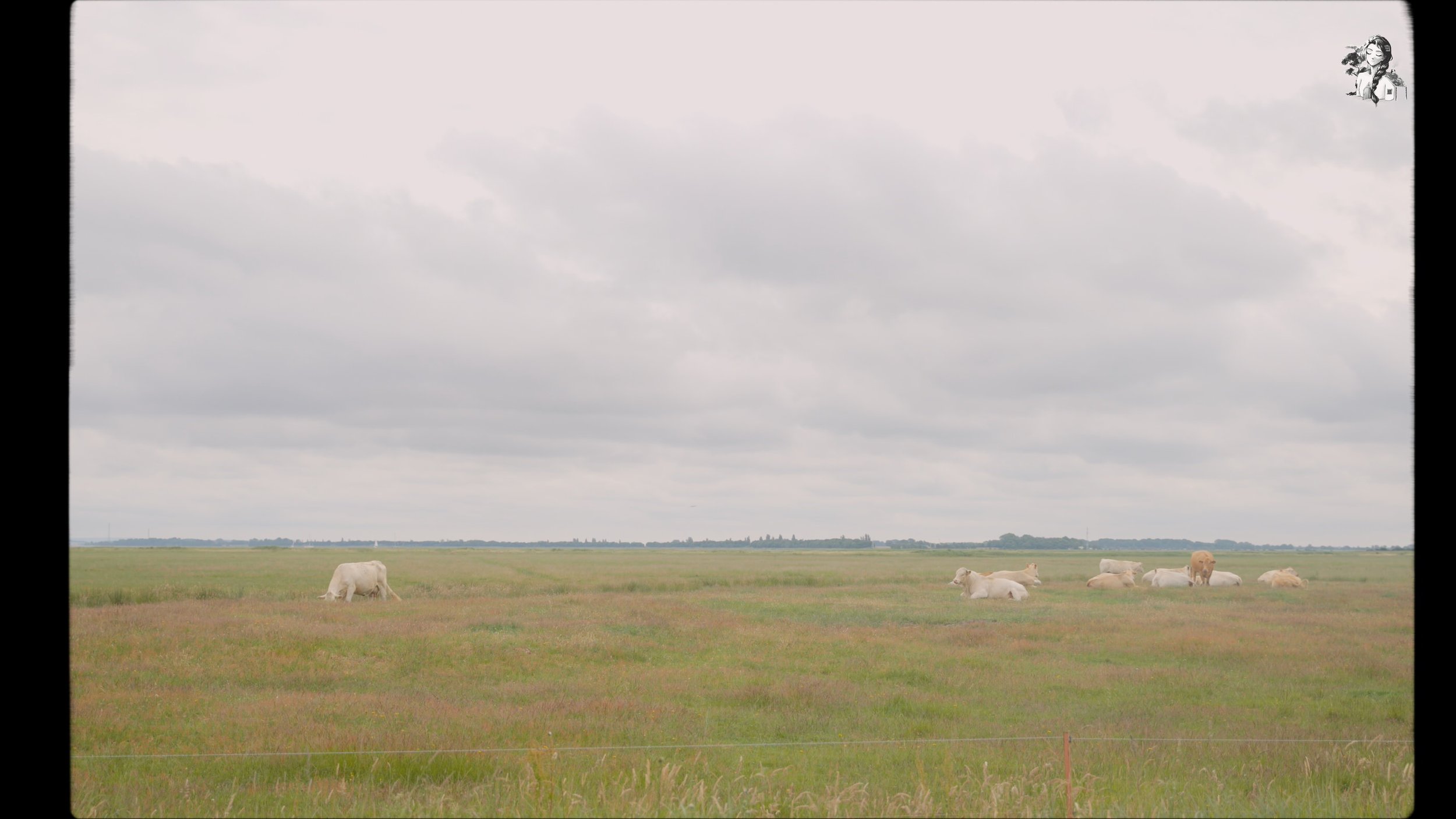 Hiddensee - Slow life in the German countryside_1.235.1.jpg