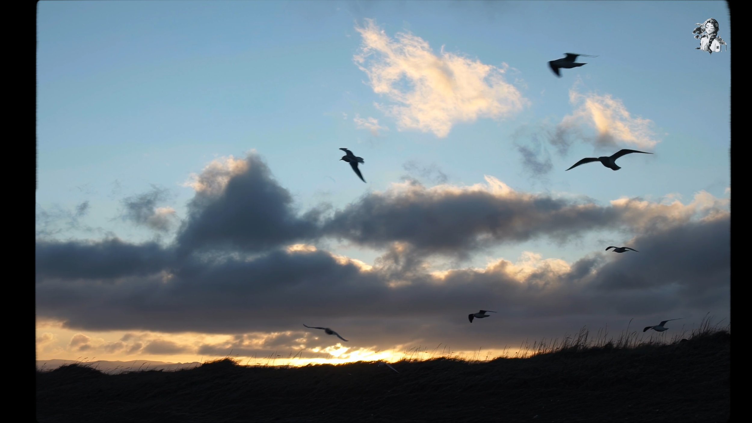 Hiddensee - Slow life in the German countryside_1.332.1.jpg