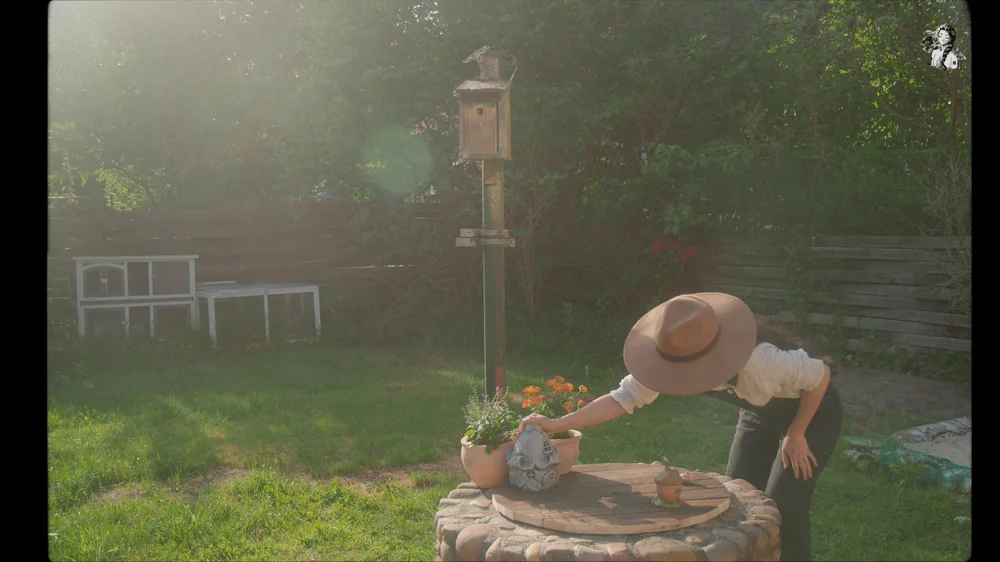 Three Years of Transforming our backyard garden_1.139.1.jpg