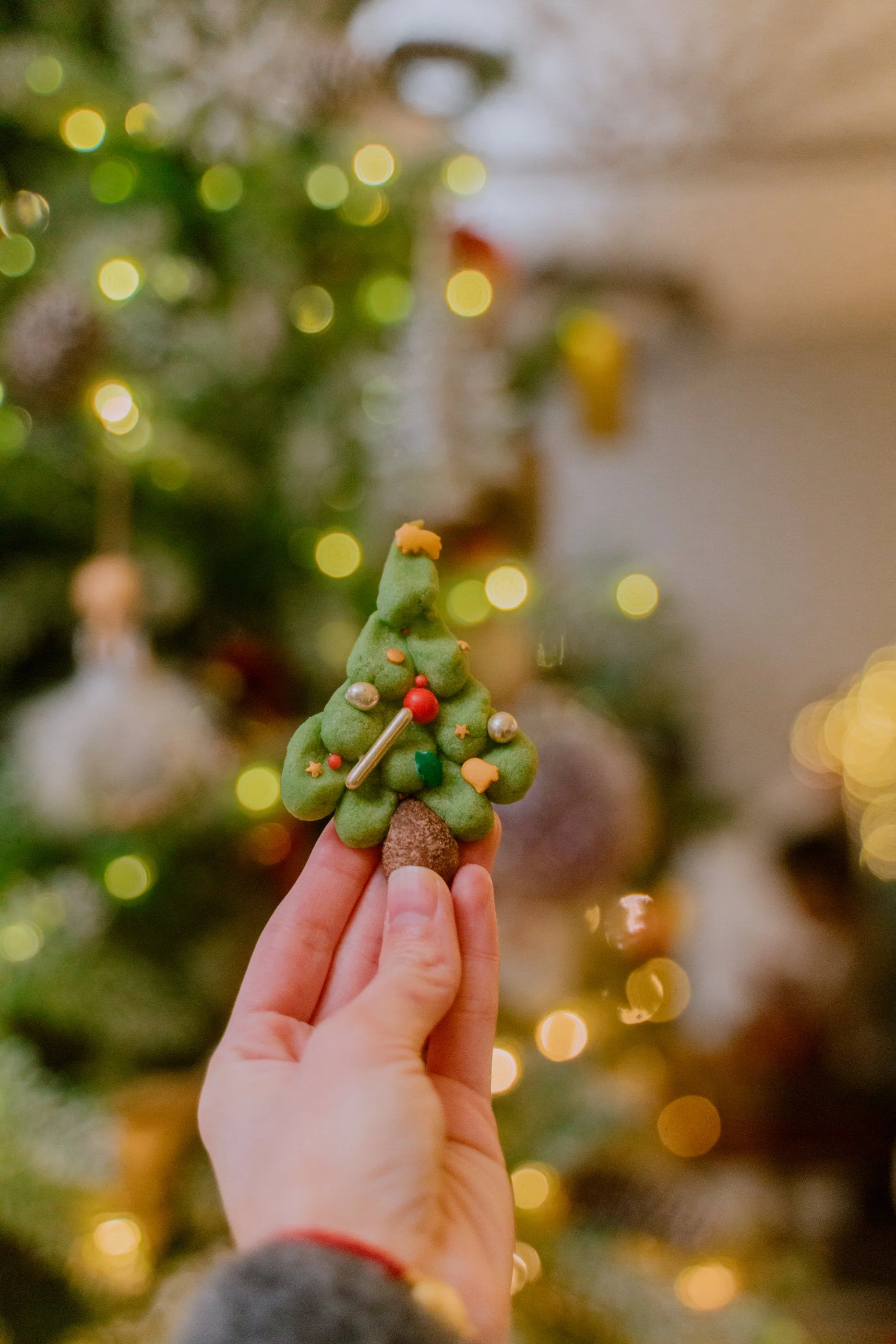 Christmas Decoration - her86m2 _7IV4826.jpg