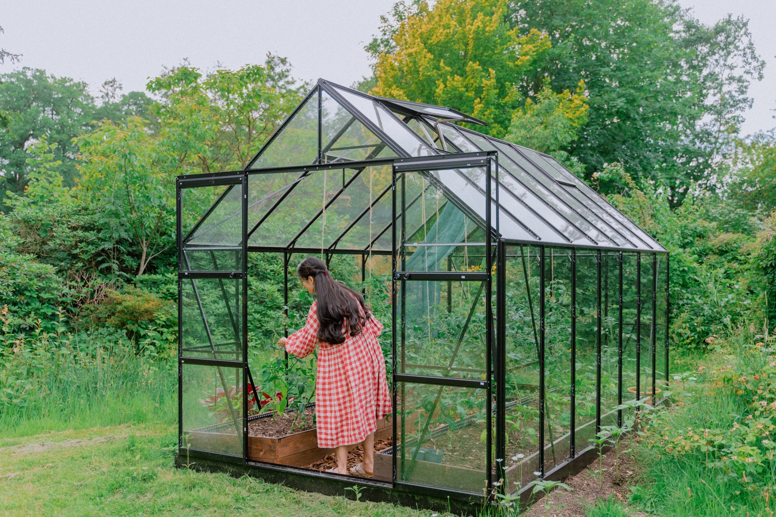 Greenhouse - Growing Vegetables at Home - Her86m2 _7IV2640.jpg