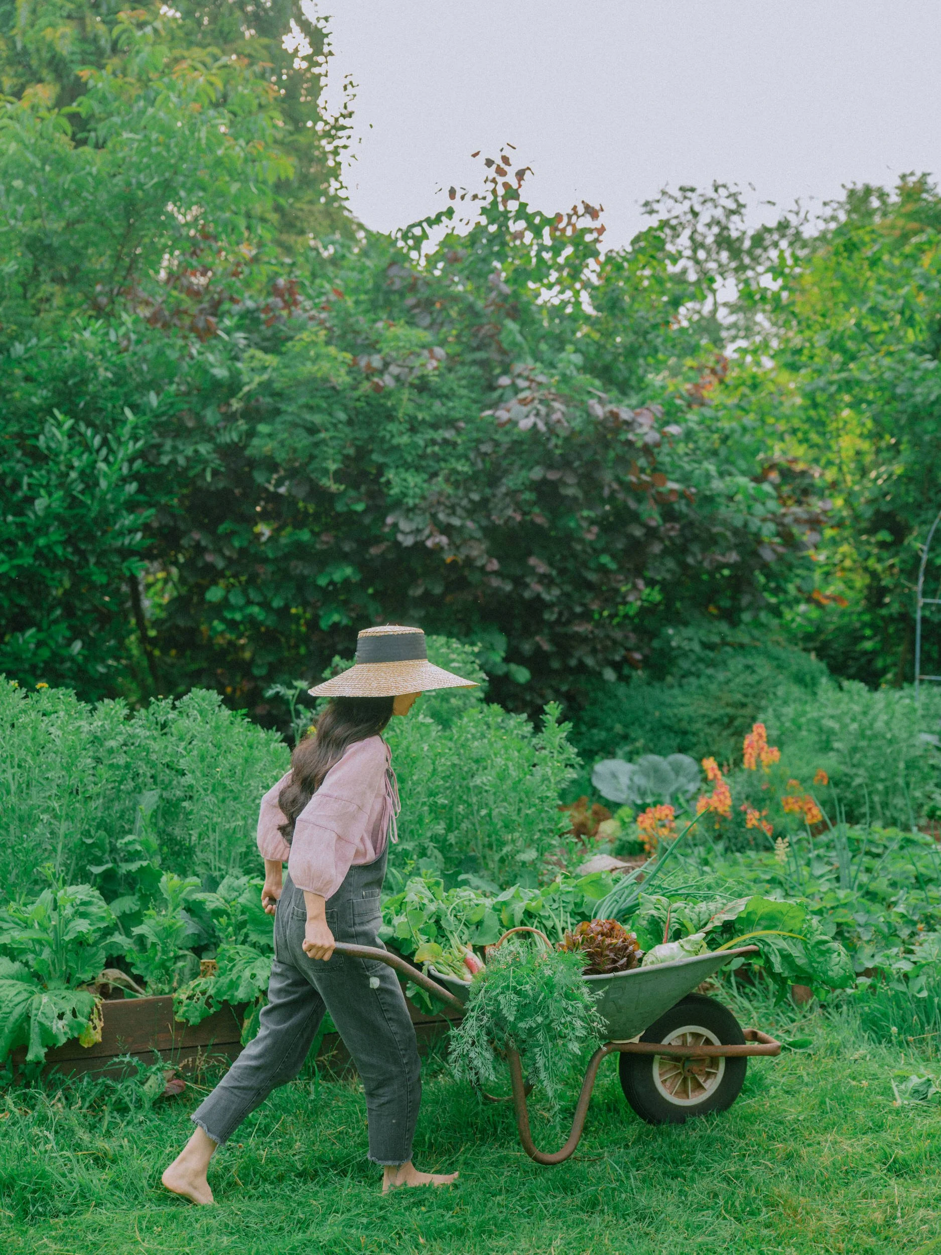 Morning Routine: Ghibli life in the Germany countryside