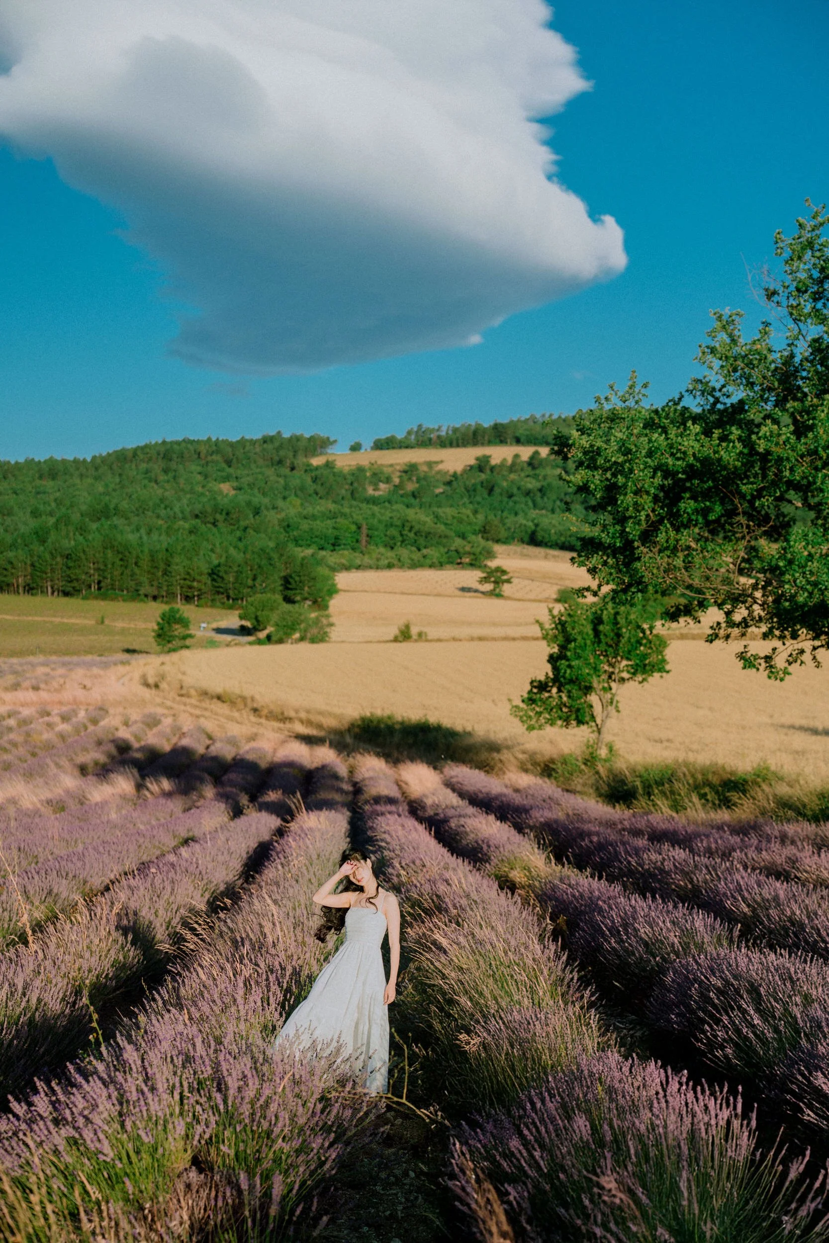 A Summer in Provence
