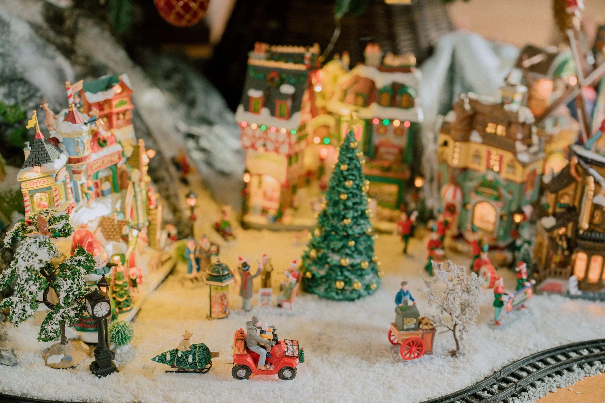 2025.11 Christmas _7IV4823.jpg