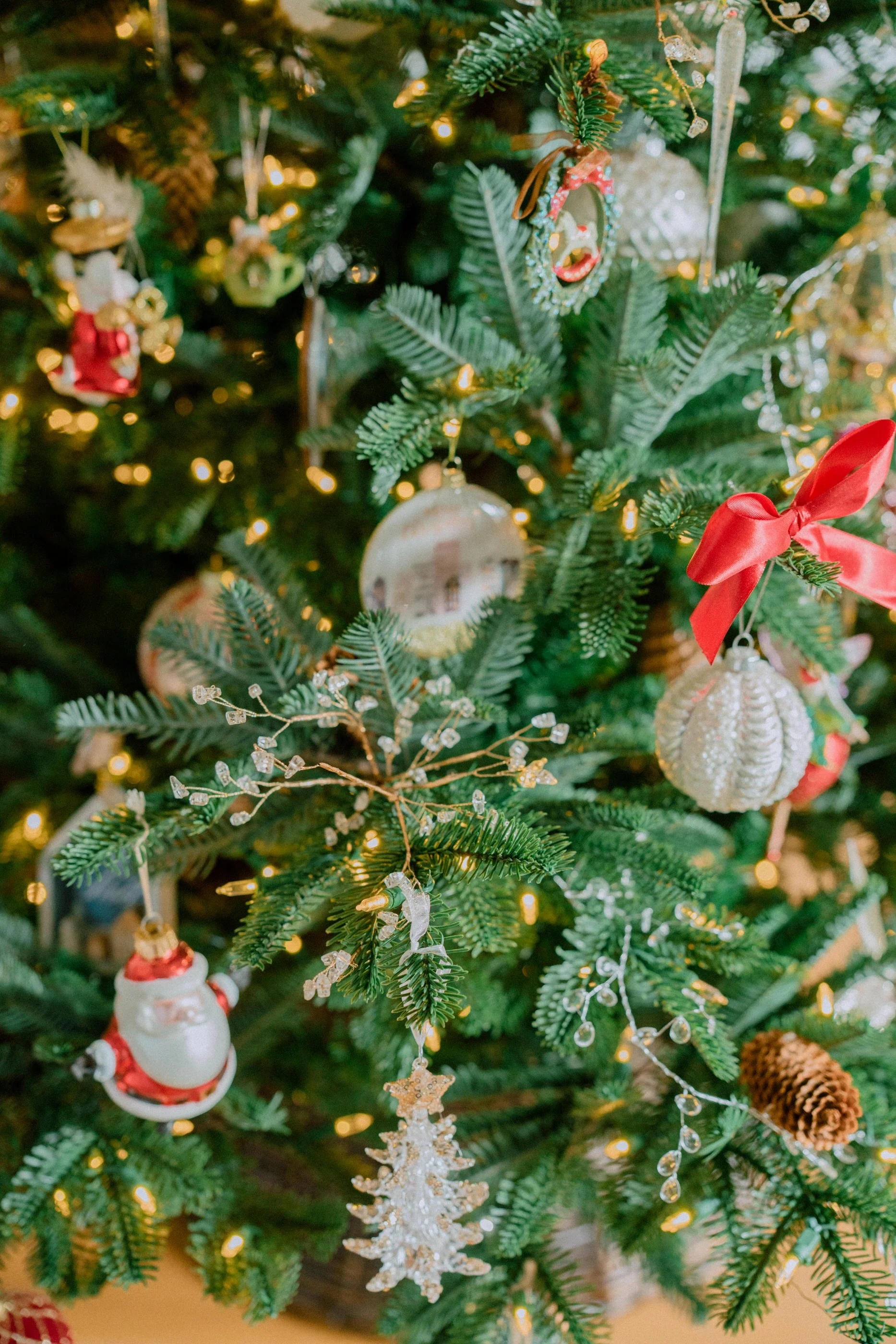 2025.11 Christmas _7IV4189.jpg