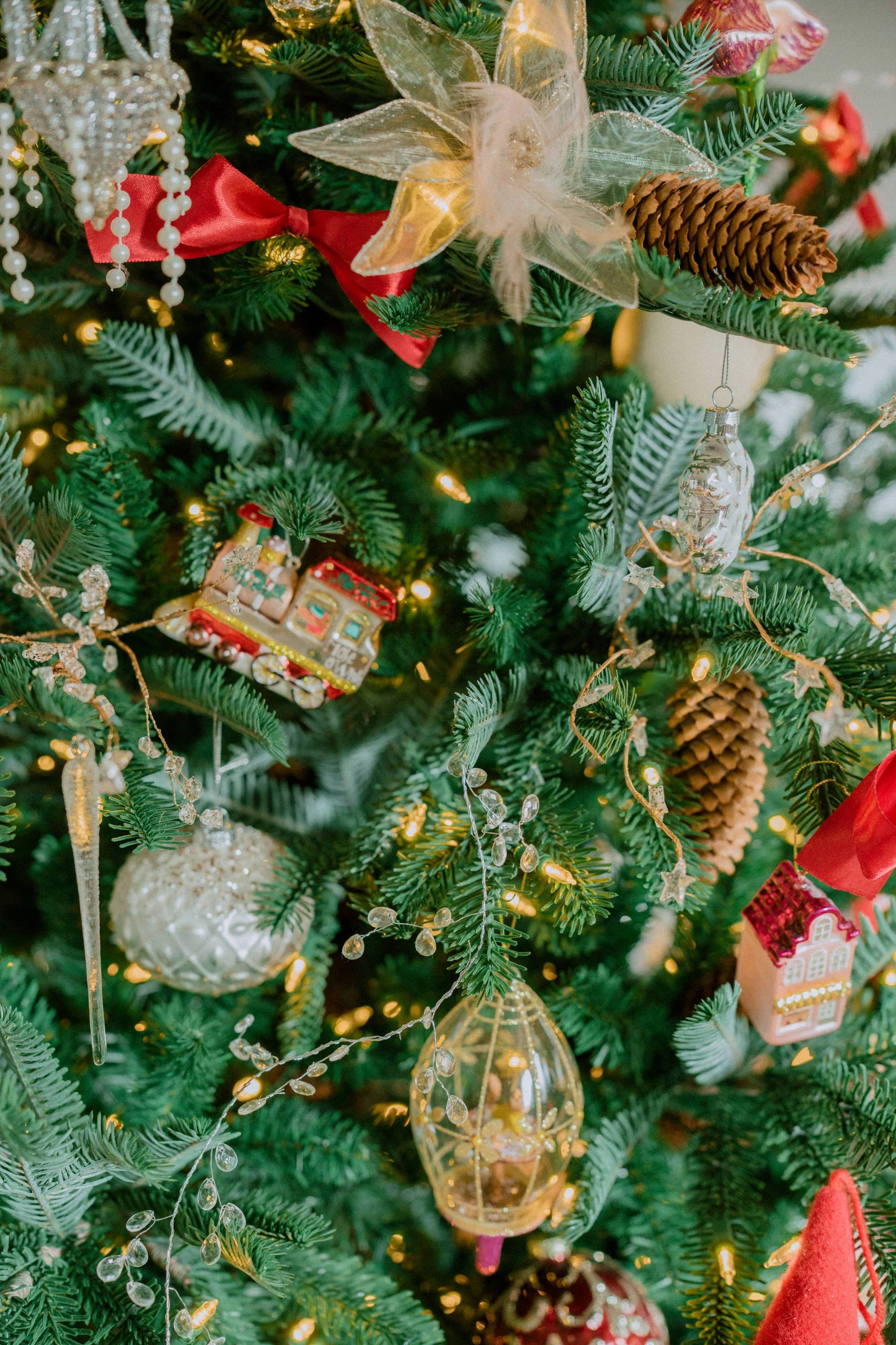 2025.11 Christmas _7IV4191.jpg