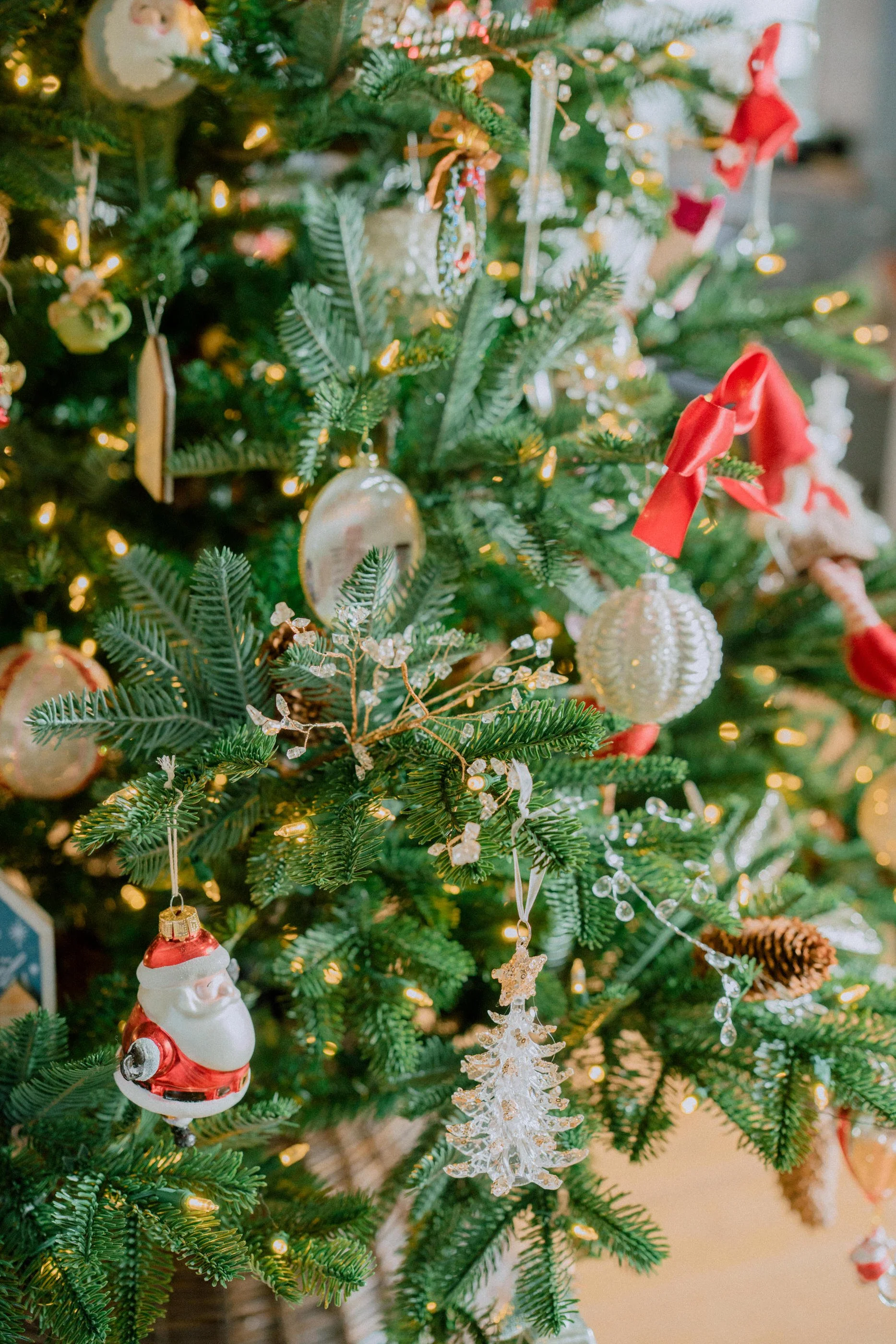 2025.11 Christmas _7IV4193.jpg