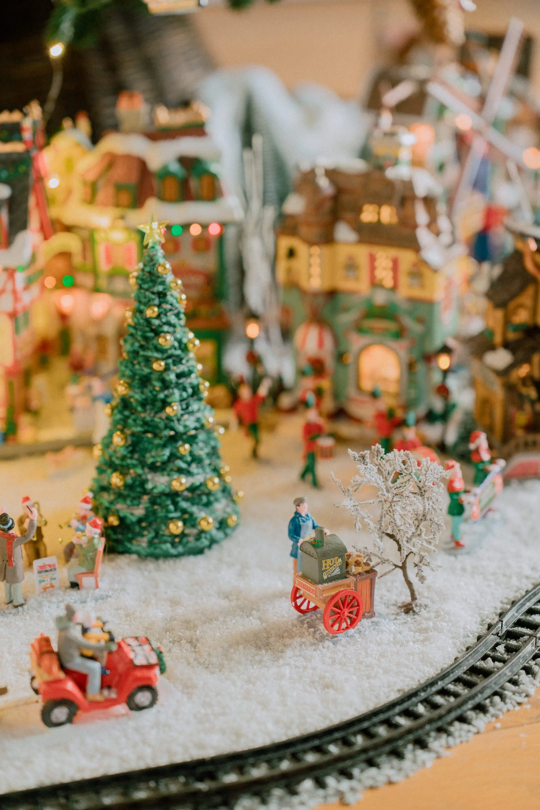 2025.11 Christmas _7IV4827.jpg