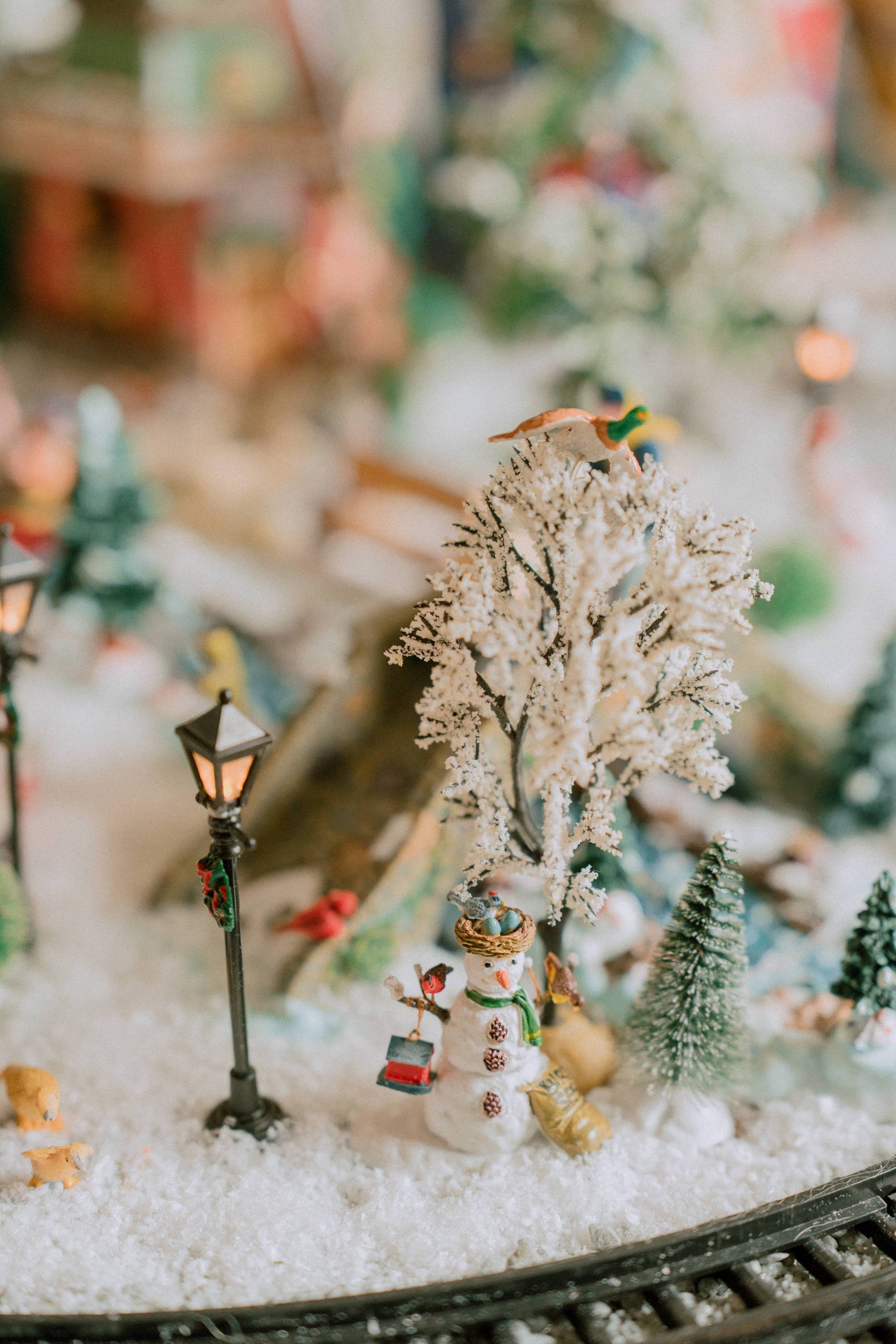 2025.11 Christmas _7IV4848.jpg