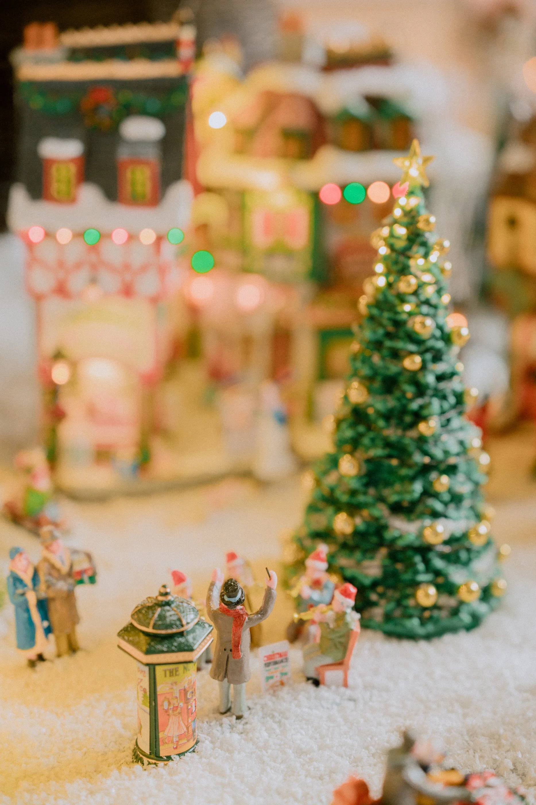 2025.11 Christmas _7IV4855.jpg