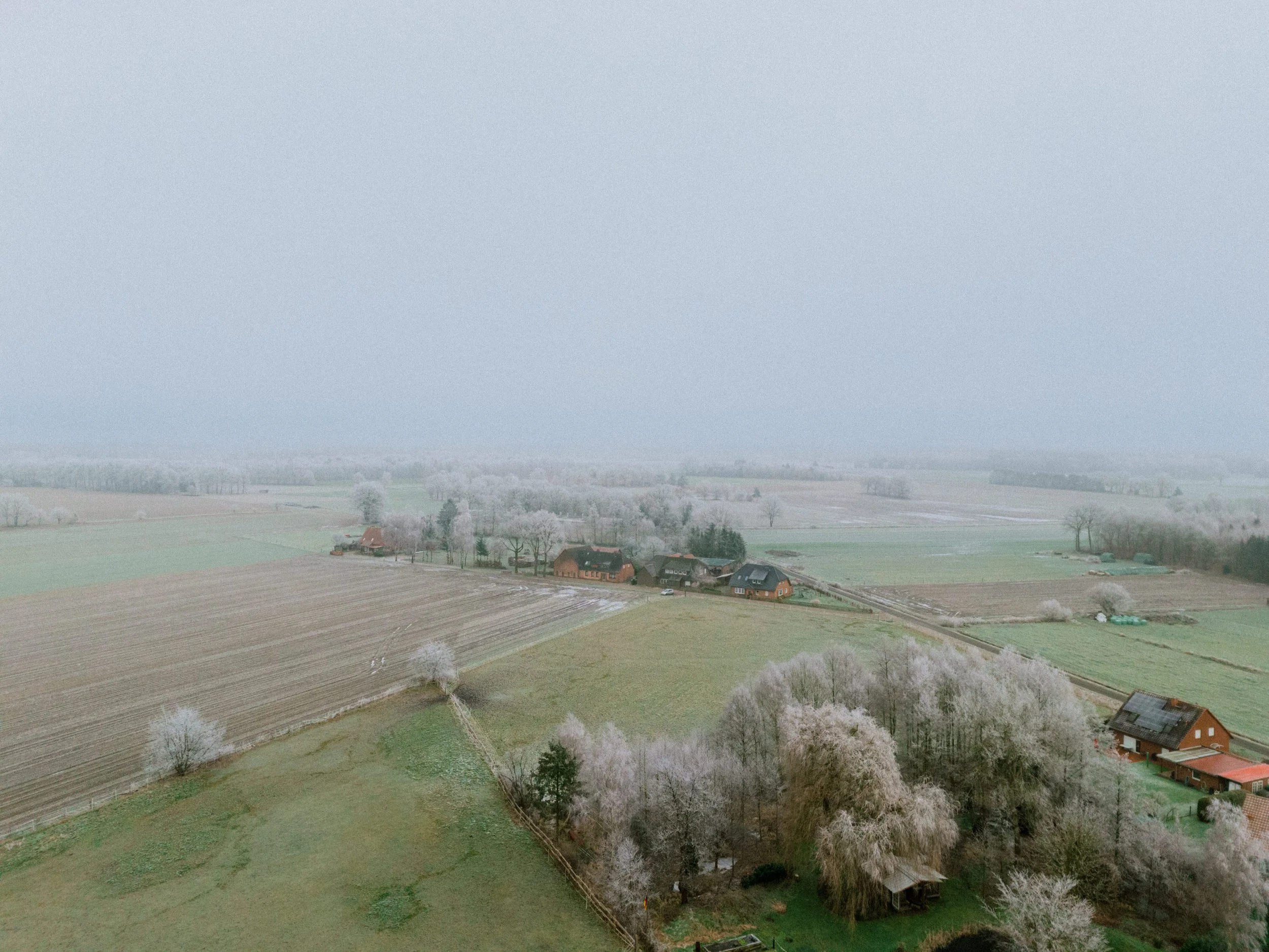 DJI_20250113153126_0087_D.jpg