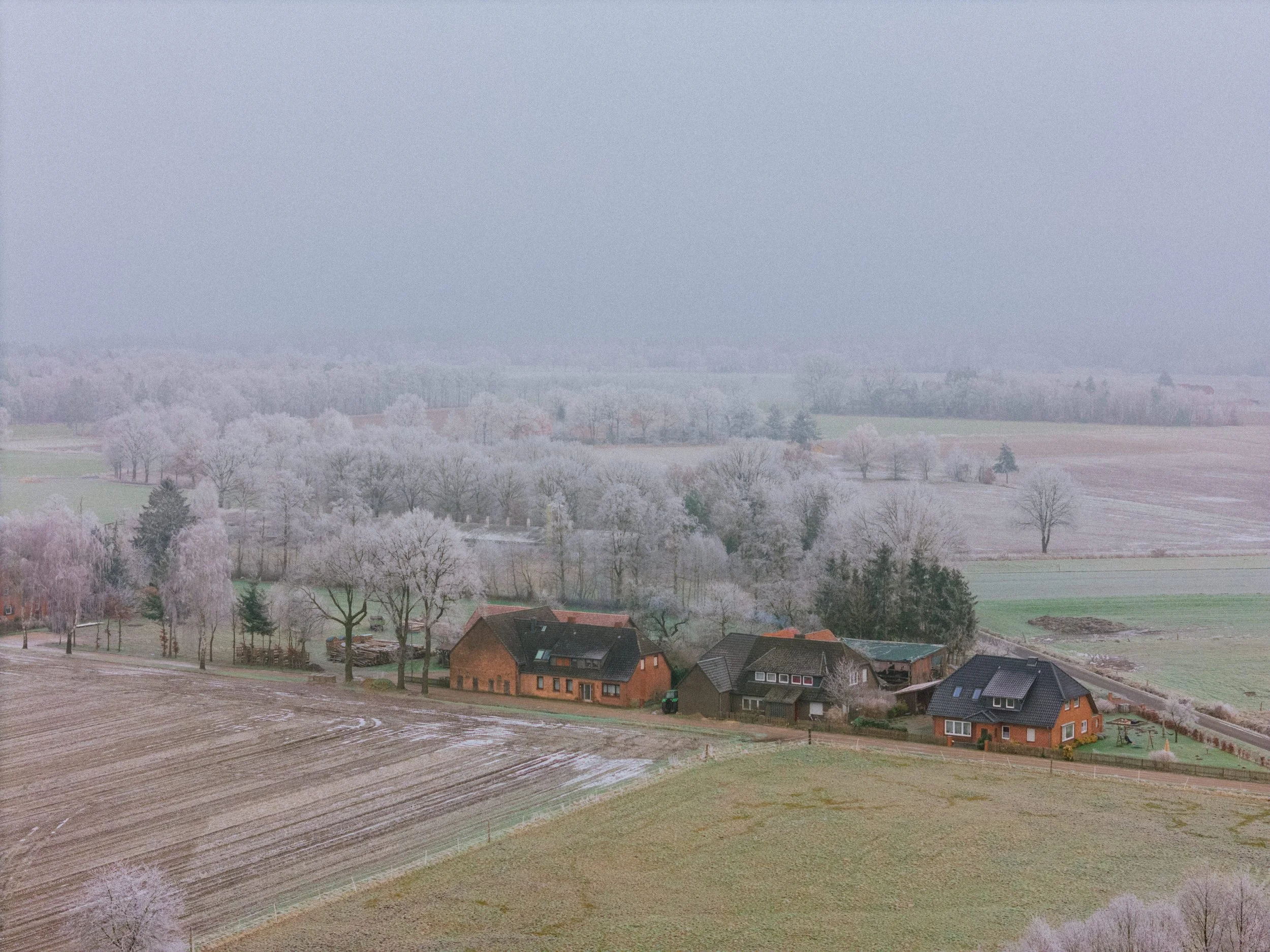 DJI_20250113153136_0088_D.jpg