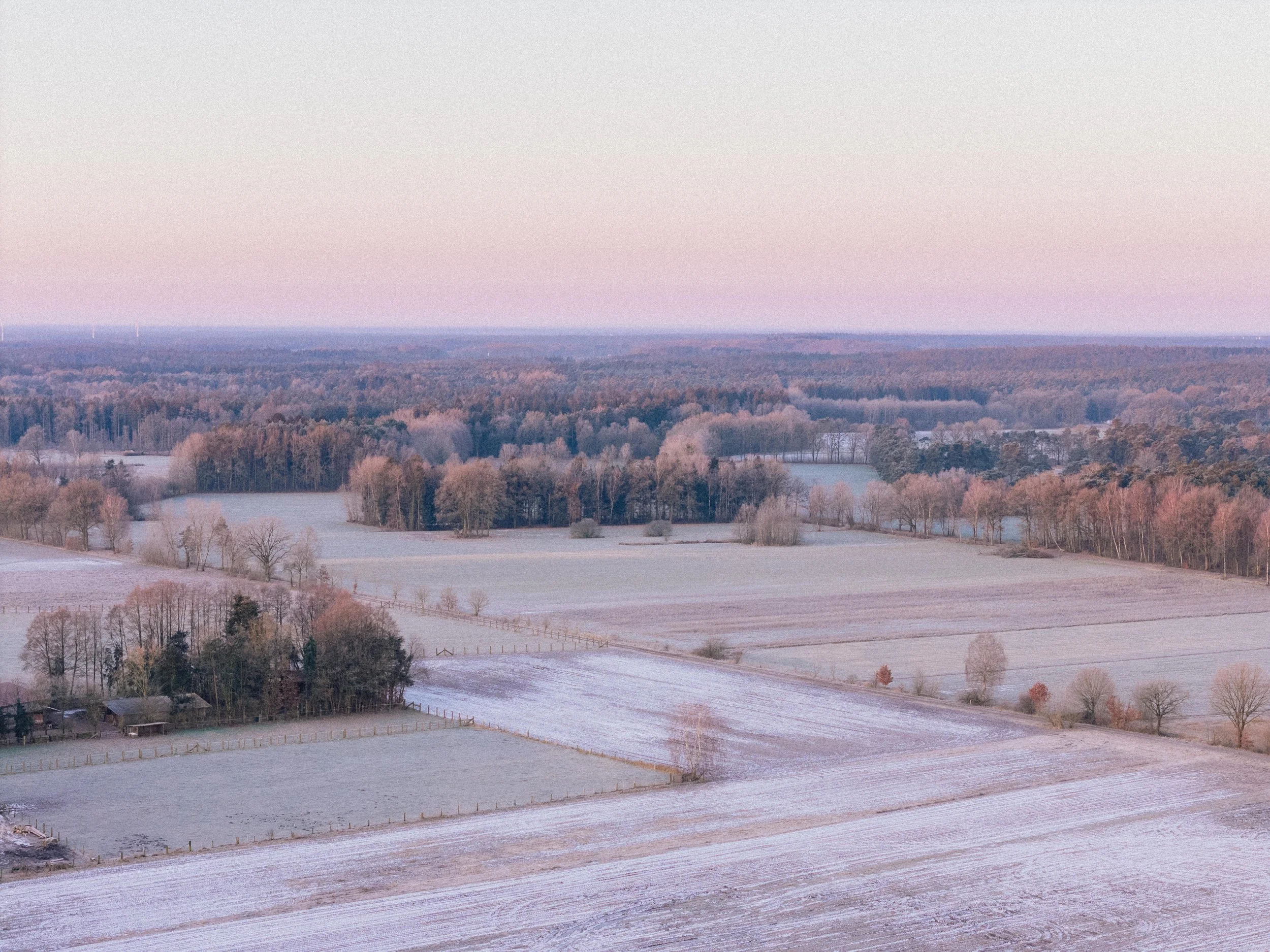 DJI_20250218073805_0020_D.jpg