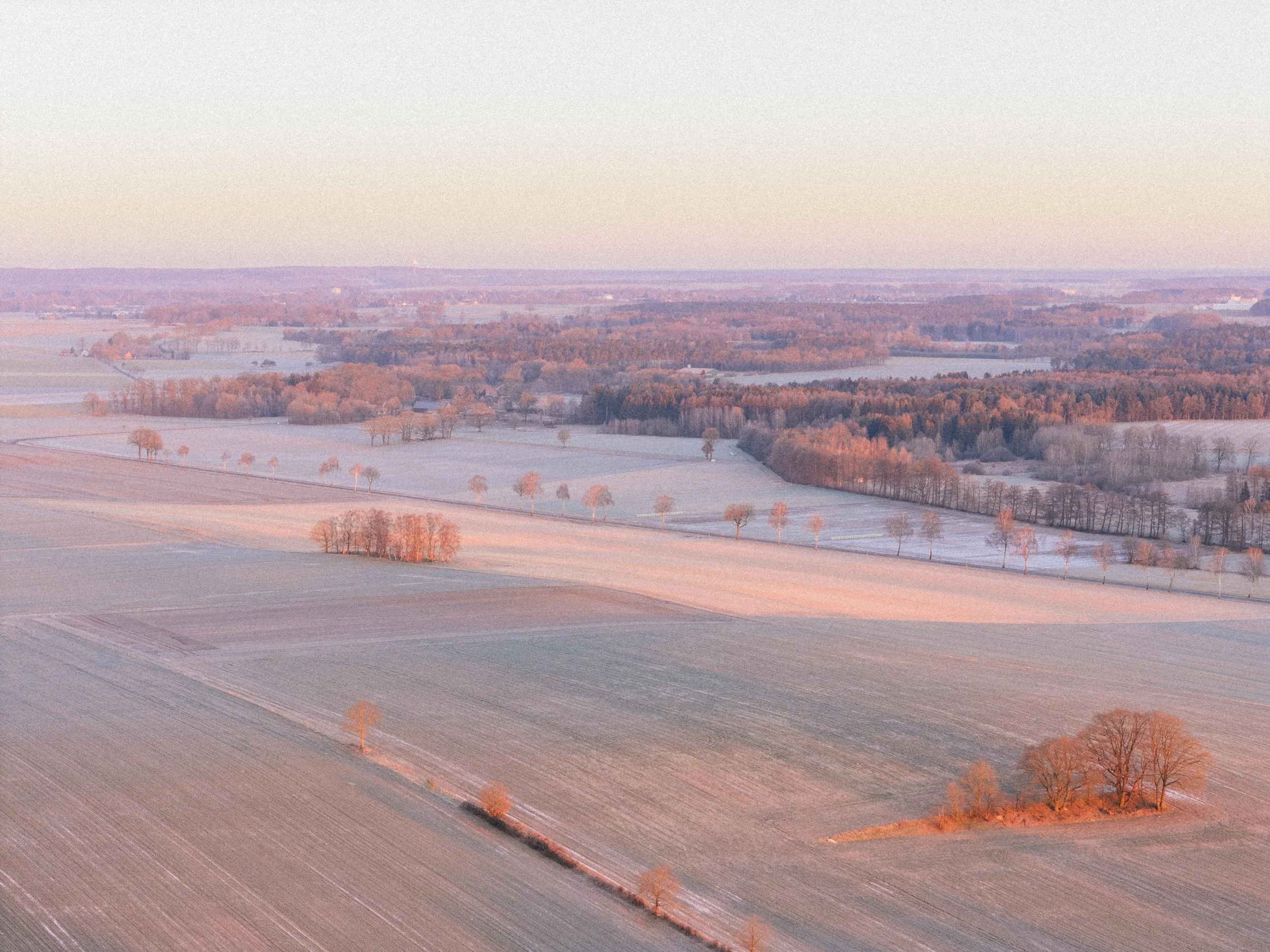 DJI_20250218074255_0025_D.jpg