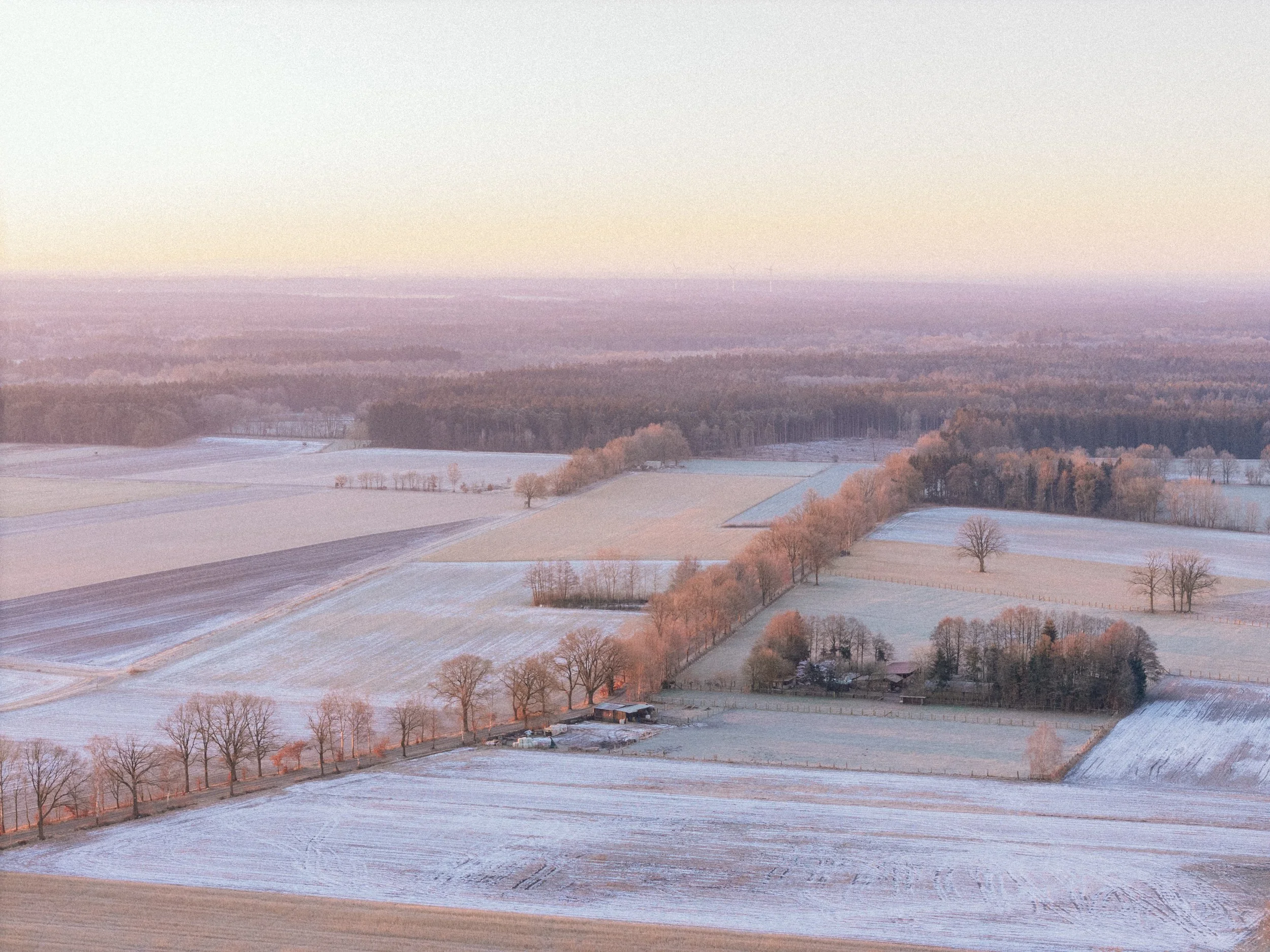 DJI_20250218074420_0028_D.jpg