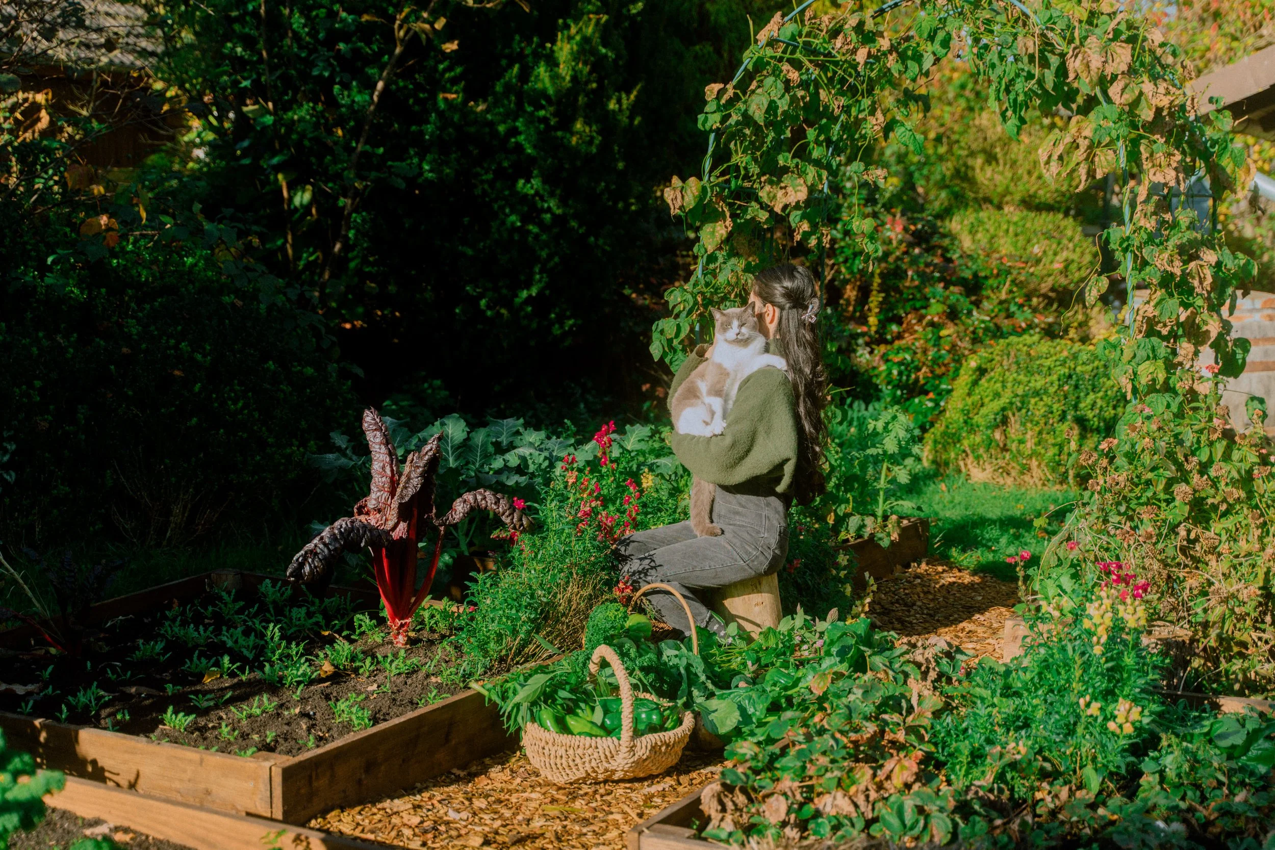 Vegetable gardening tips to prepare for the next growing season