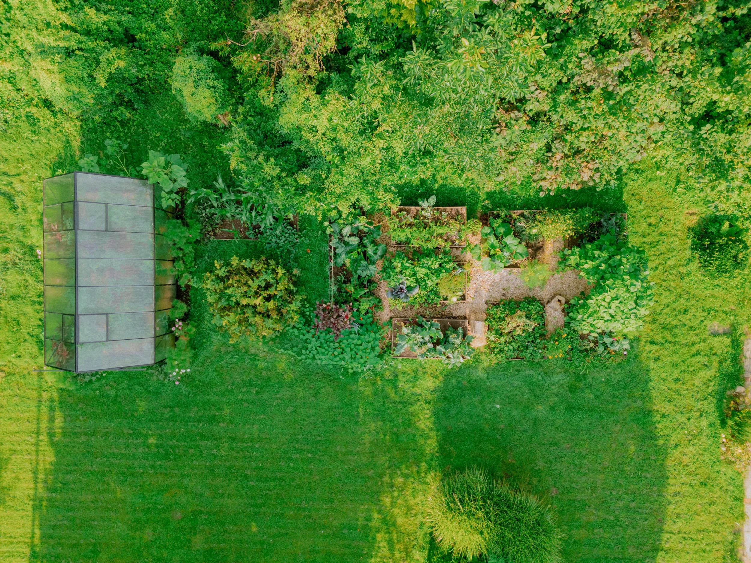 DJI_20250807084655_0245_D.jpg