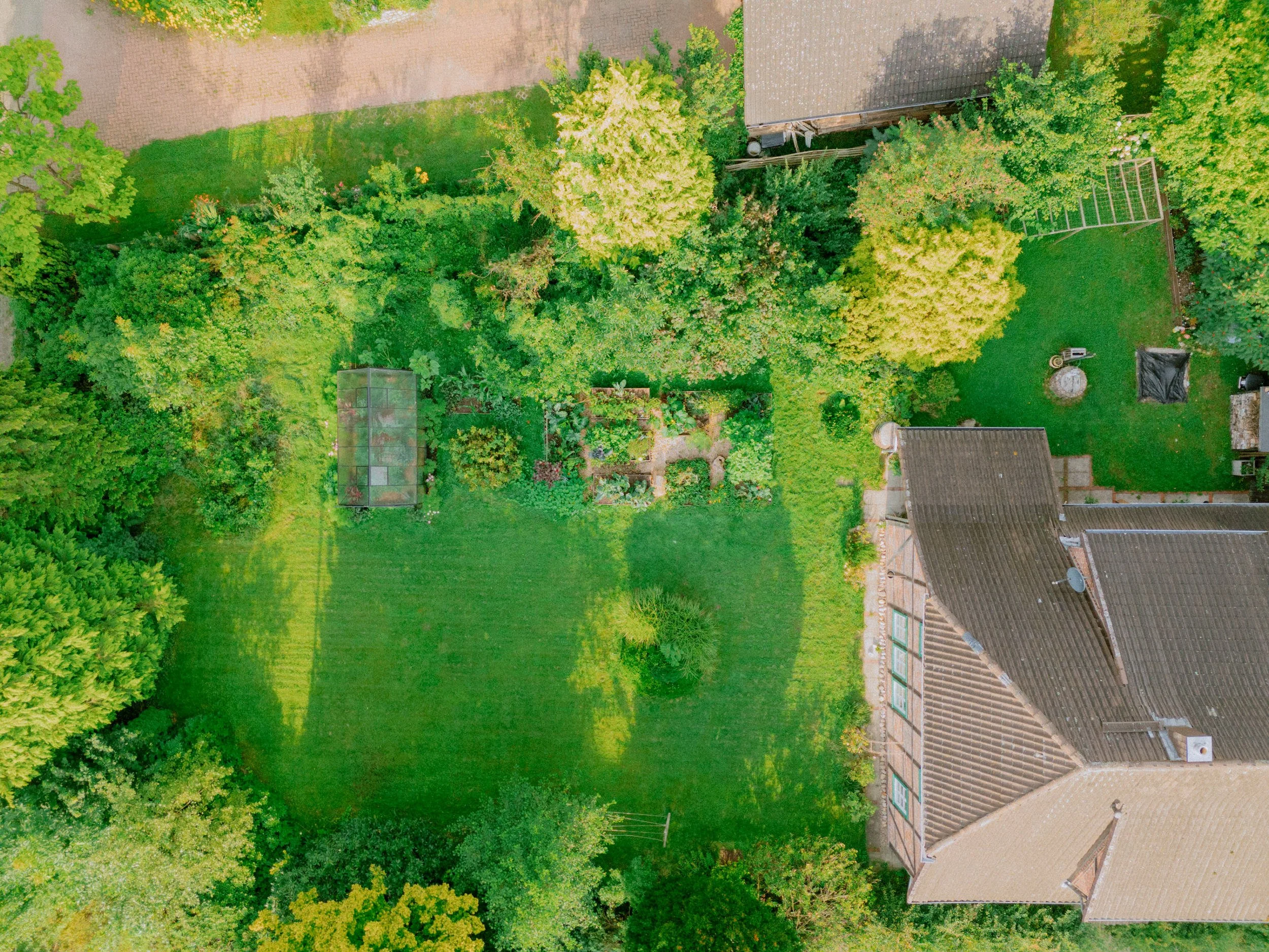 DJI_20250807084635_0242_D.jpg