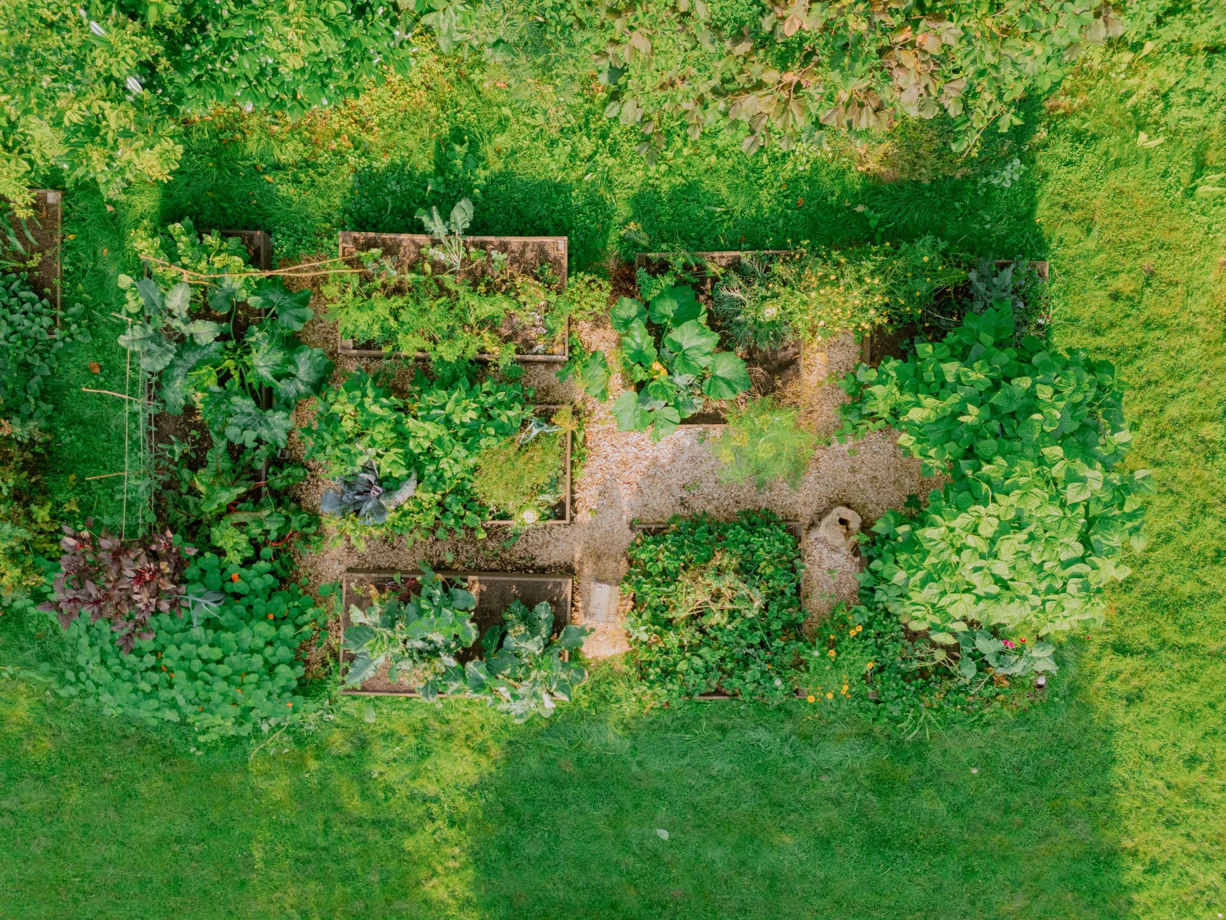 DJI_20250807084709_0246_D.jpg