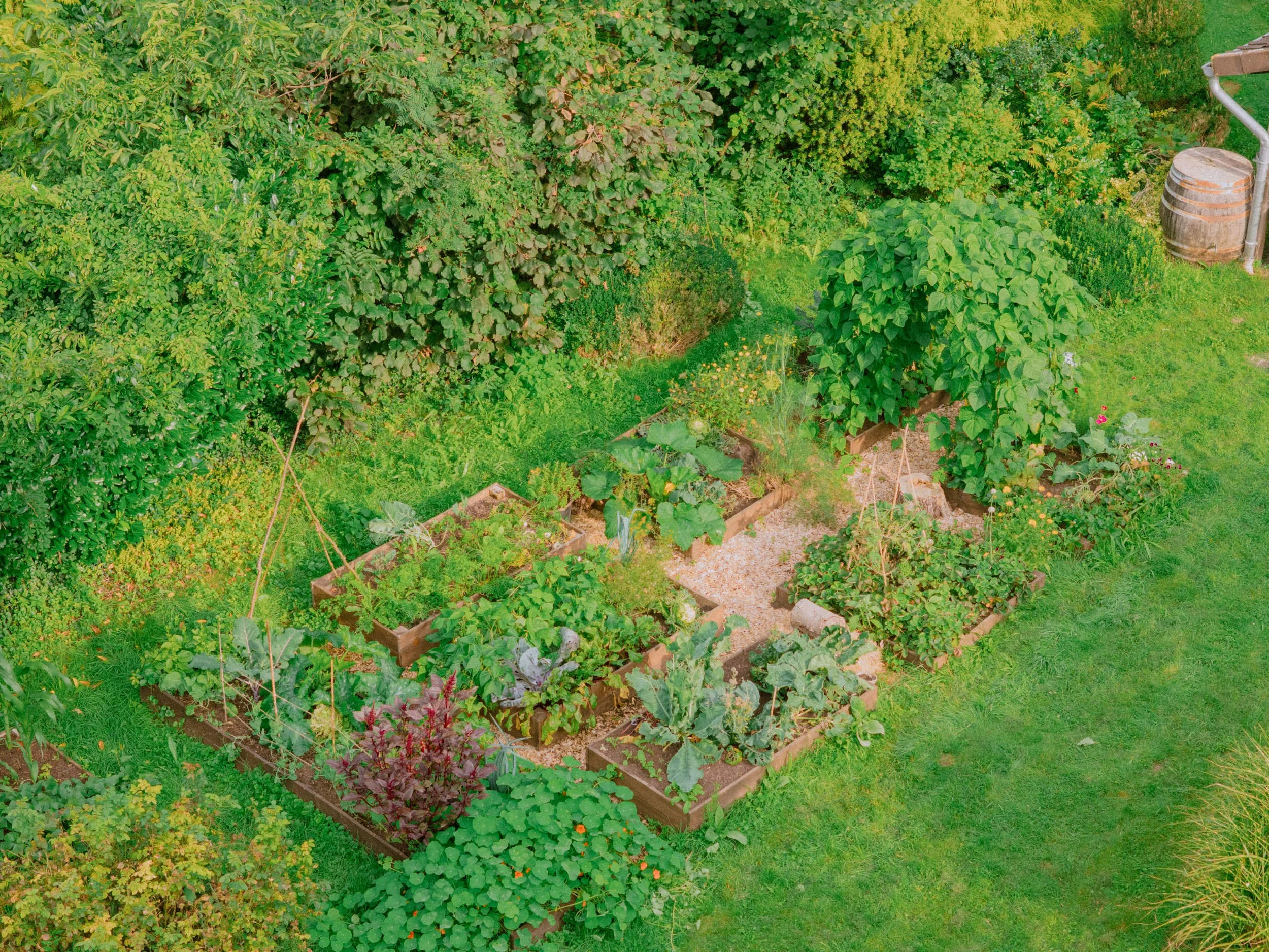 DJI_20250807085610_0253_D.jpg