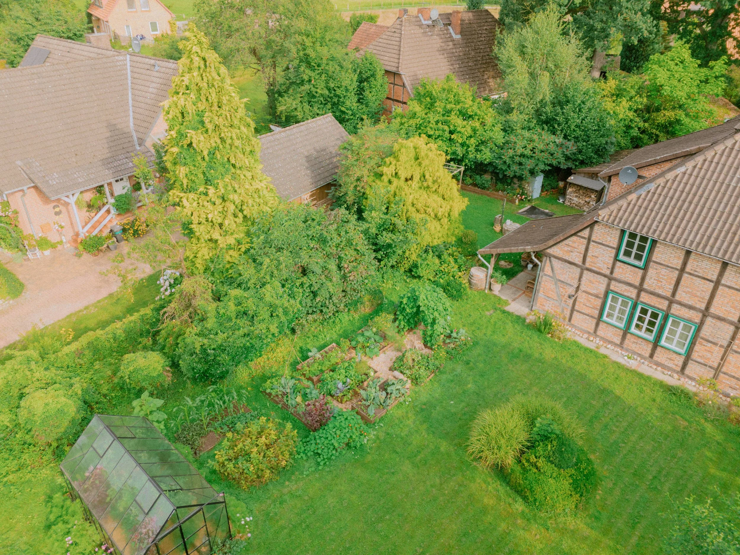 DJI_20250807085621_0255_D.jpg
