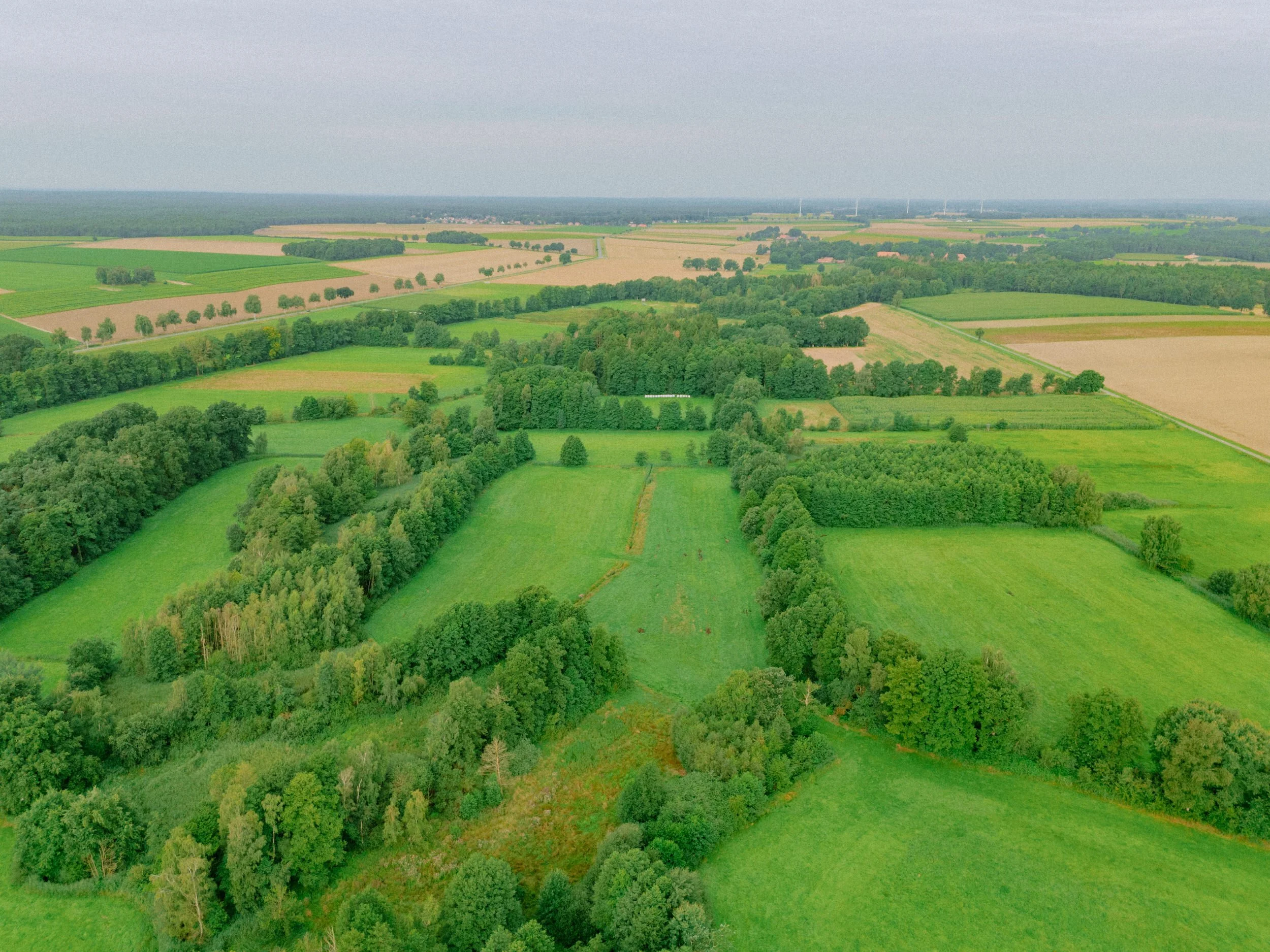 DJI_20250807090030_0261_D.jpg