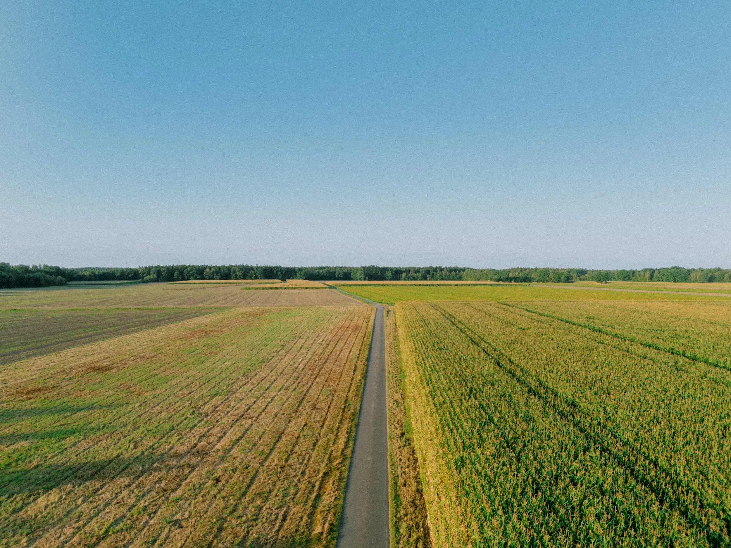 DJI_20250904073608_0290_D.jpg