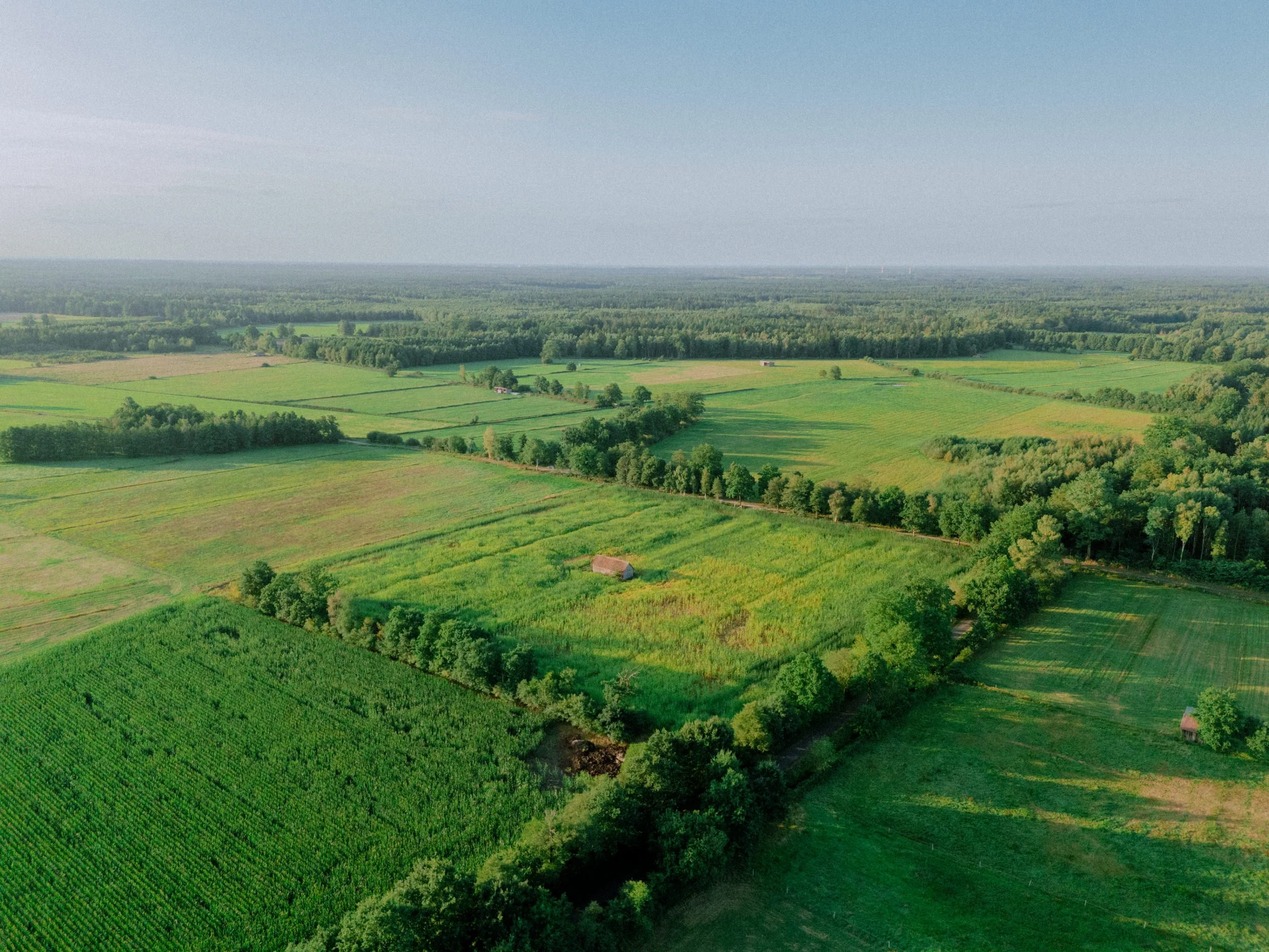 DJI_20250904074538_0308_D.jpg