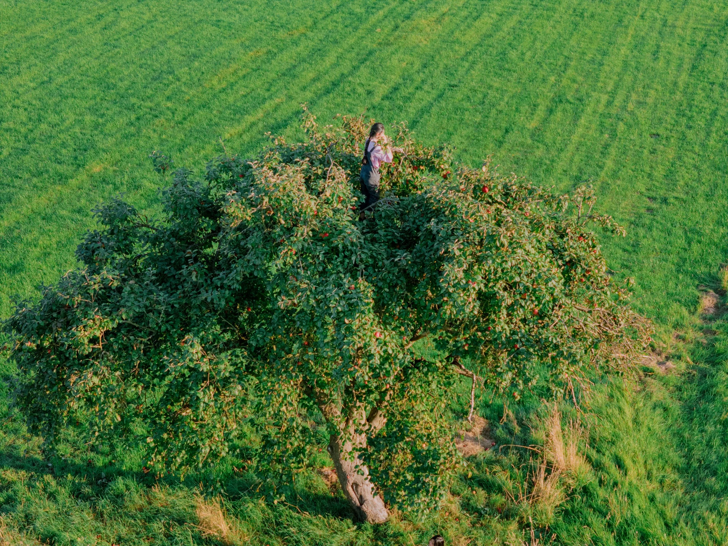DJI_20250906184139_0315_D.jpg
