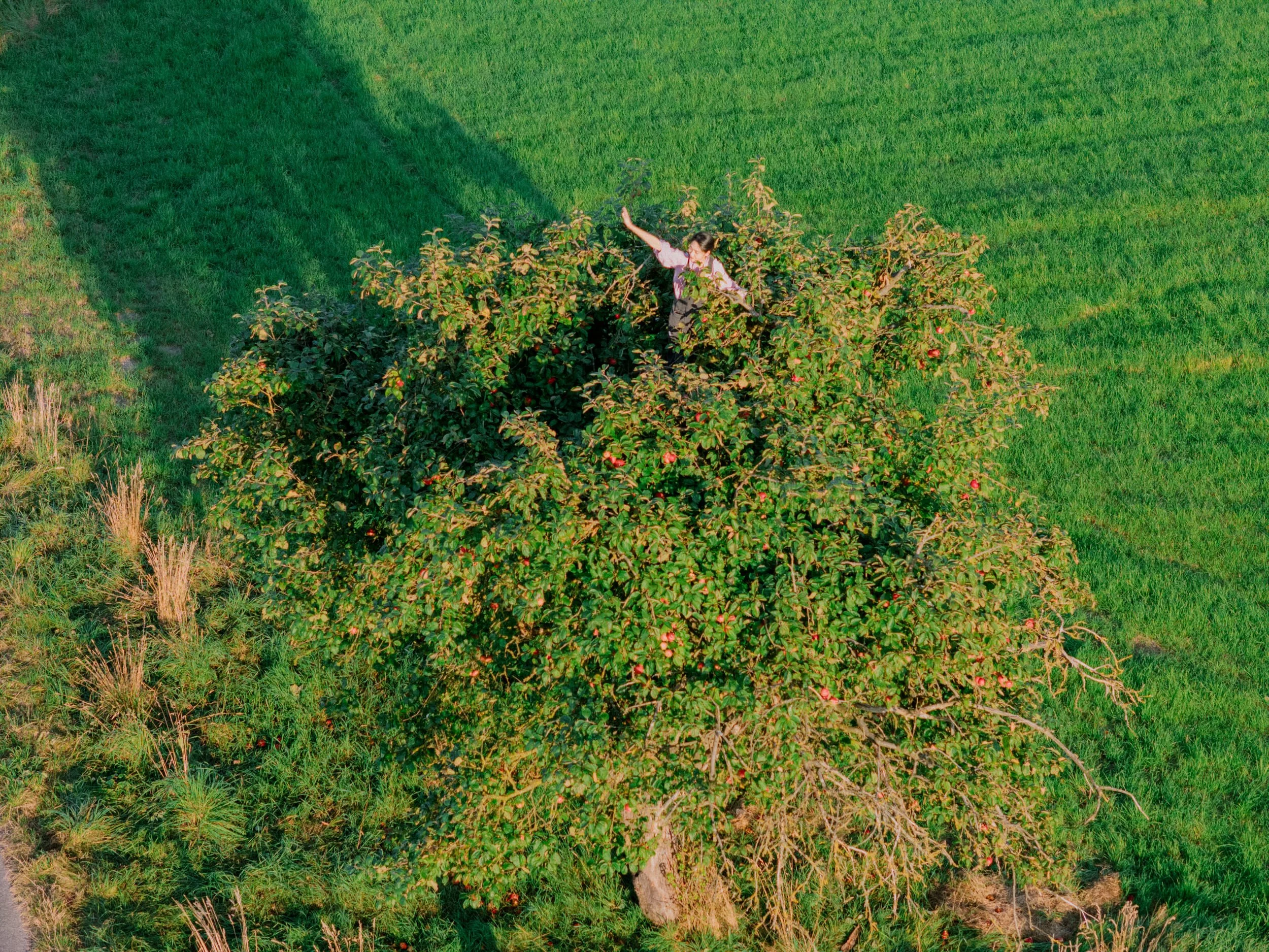 DJI_20250906184335_0332_D.jpg