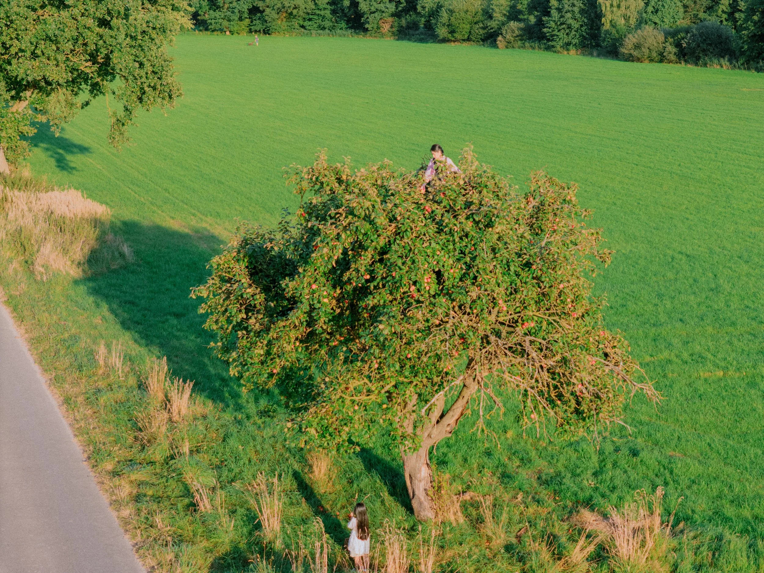 DJI_20250906184403_0338_D.jpg