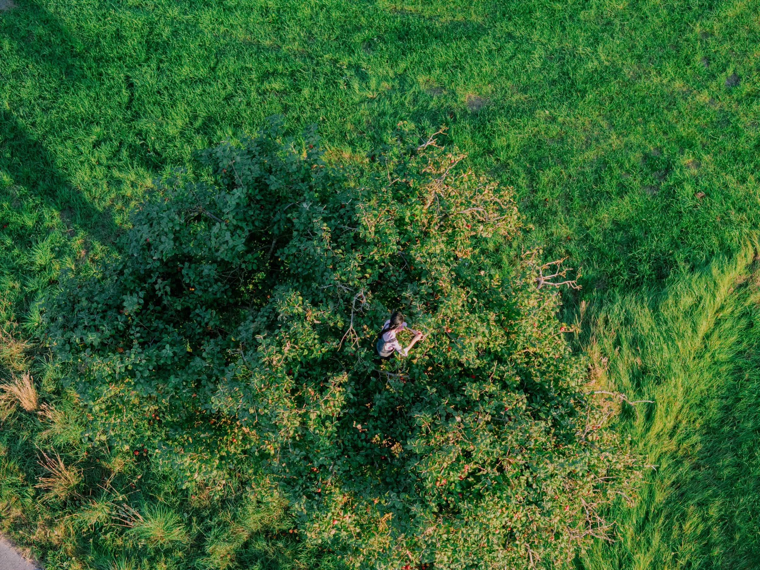 DJI_20250906184844_0354_D.jpg
