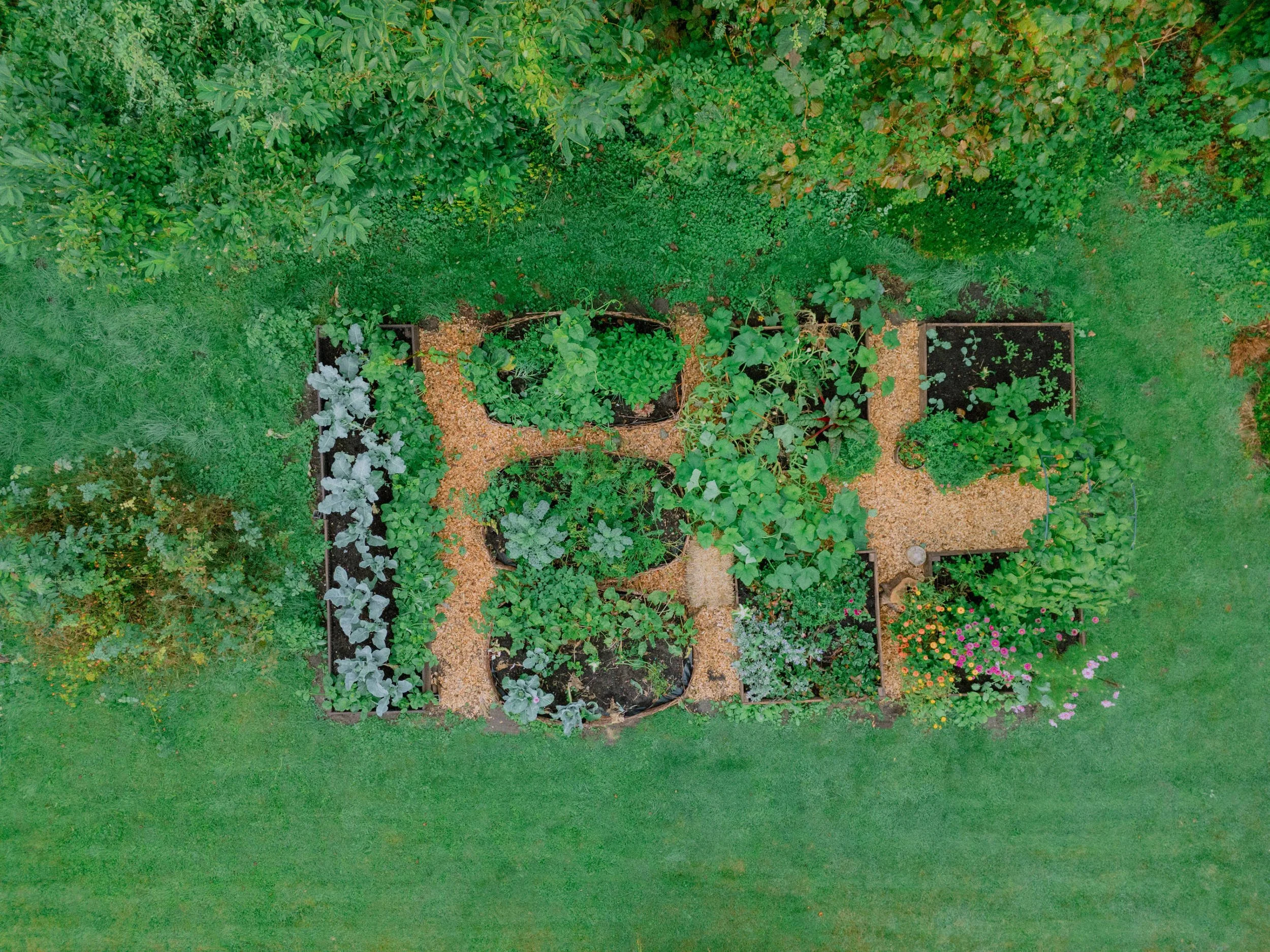 DJI_20240913080241_0344_D.jpg
