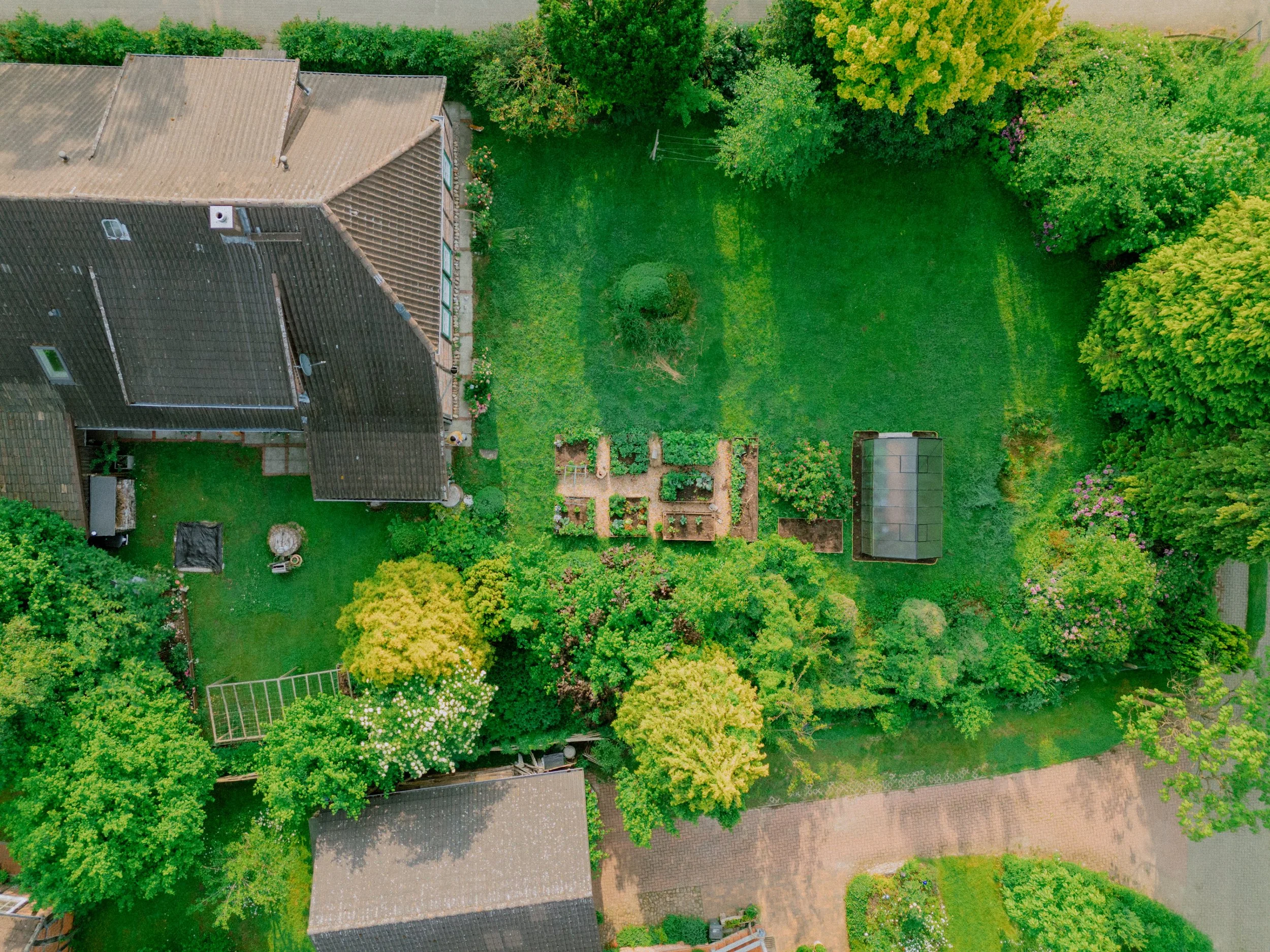 DJI_20250602080409_0196_D.jpg