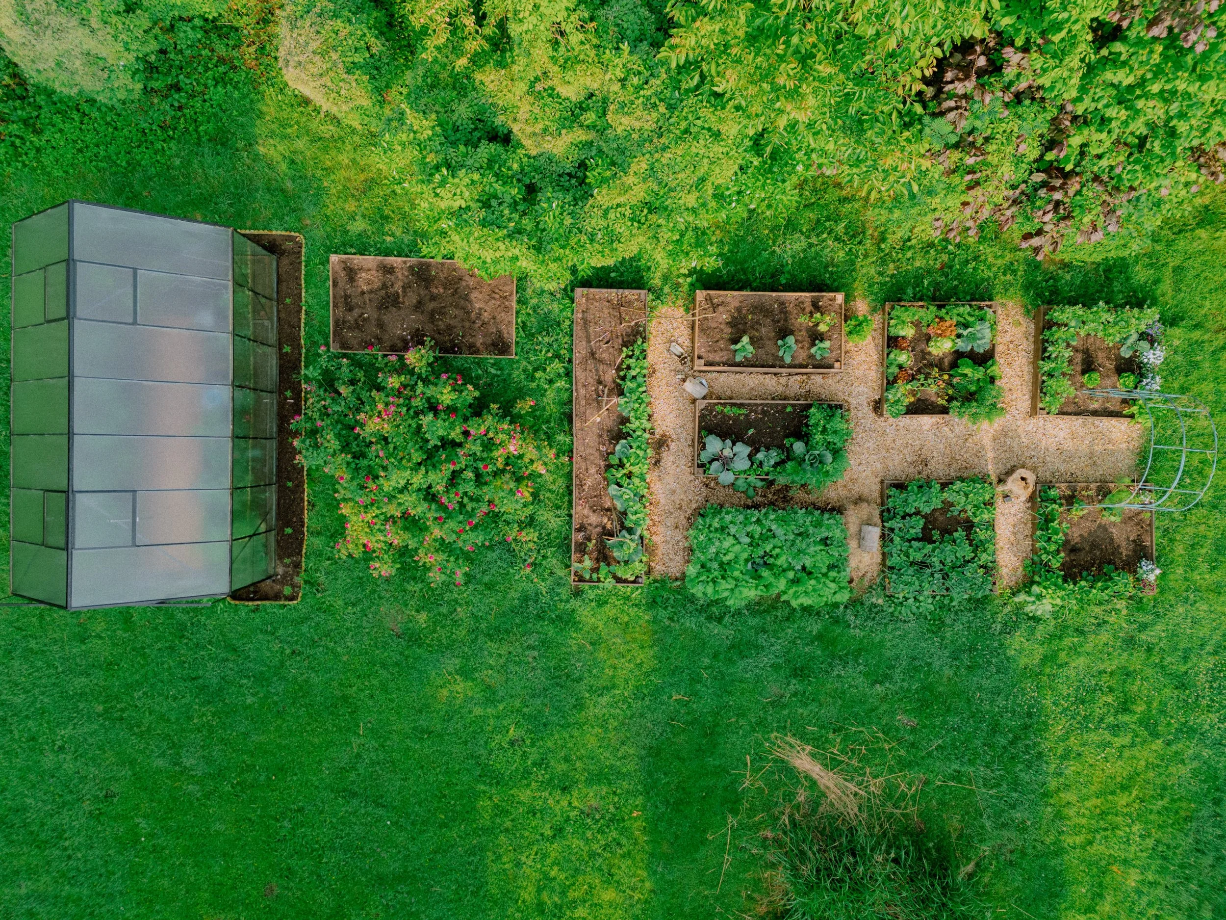 DJI_20250602075825_0186_D.jpg