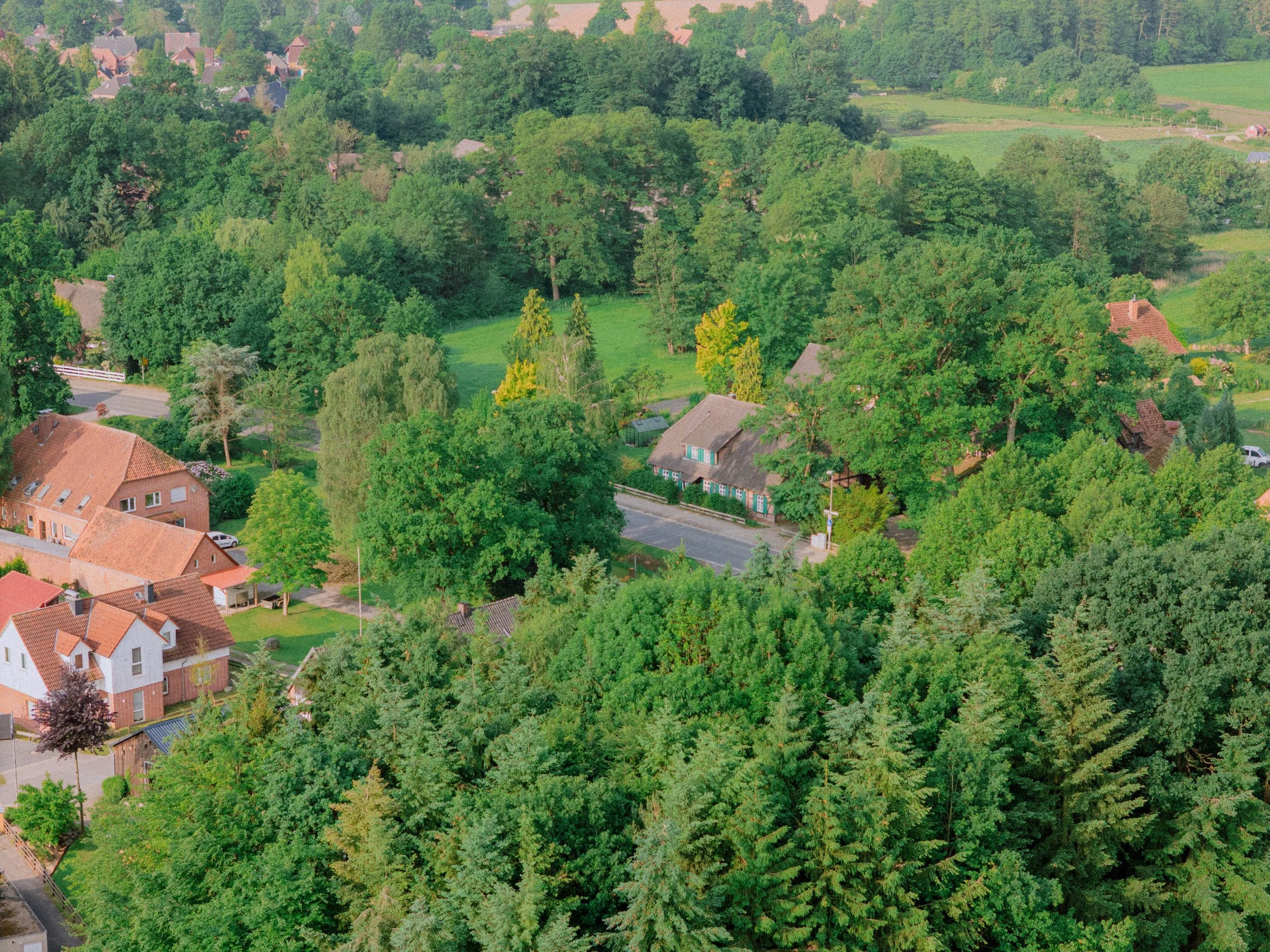 DJI_20250602081044_0203_D-1.jpg