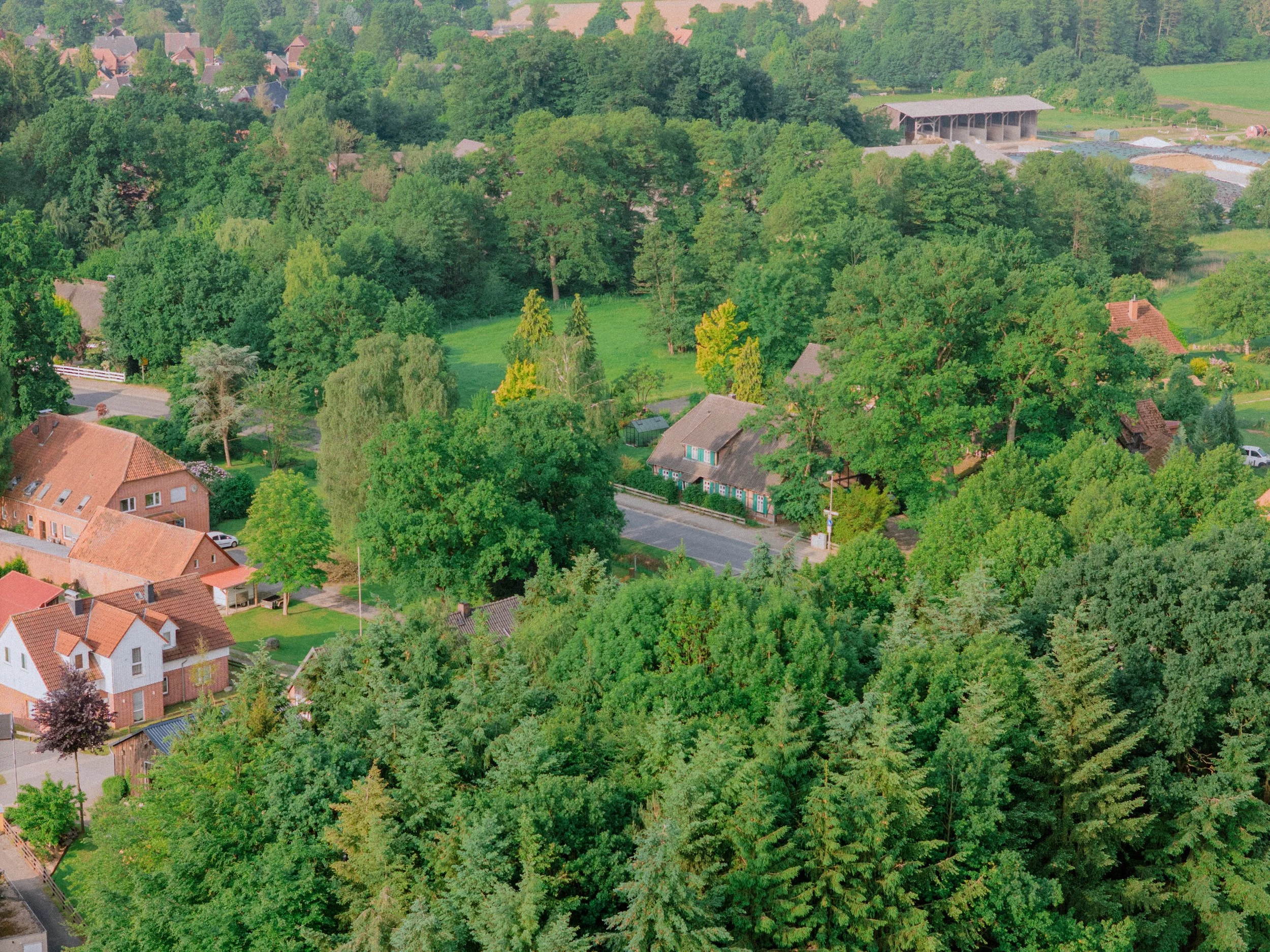DJI_20250602081044_0203_D.jpg