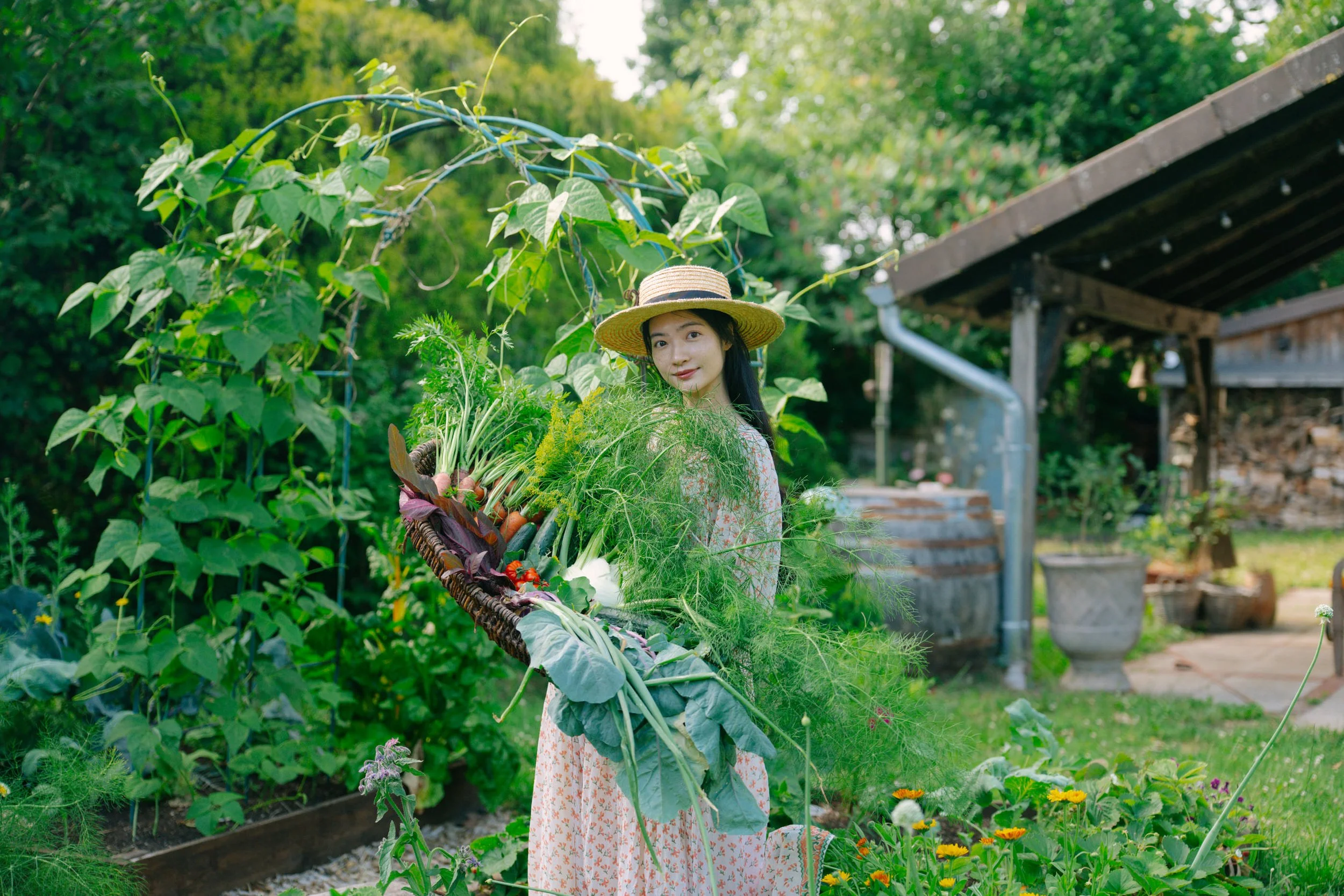 A year of growing vegetables in my backyard garden