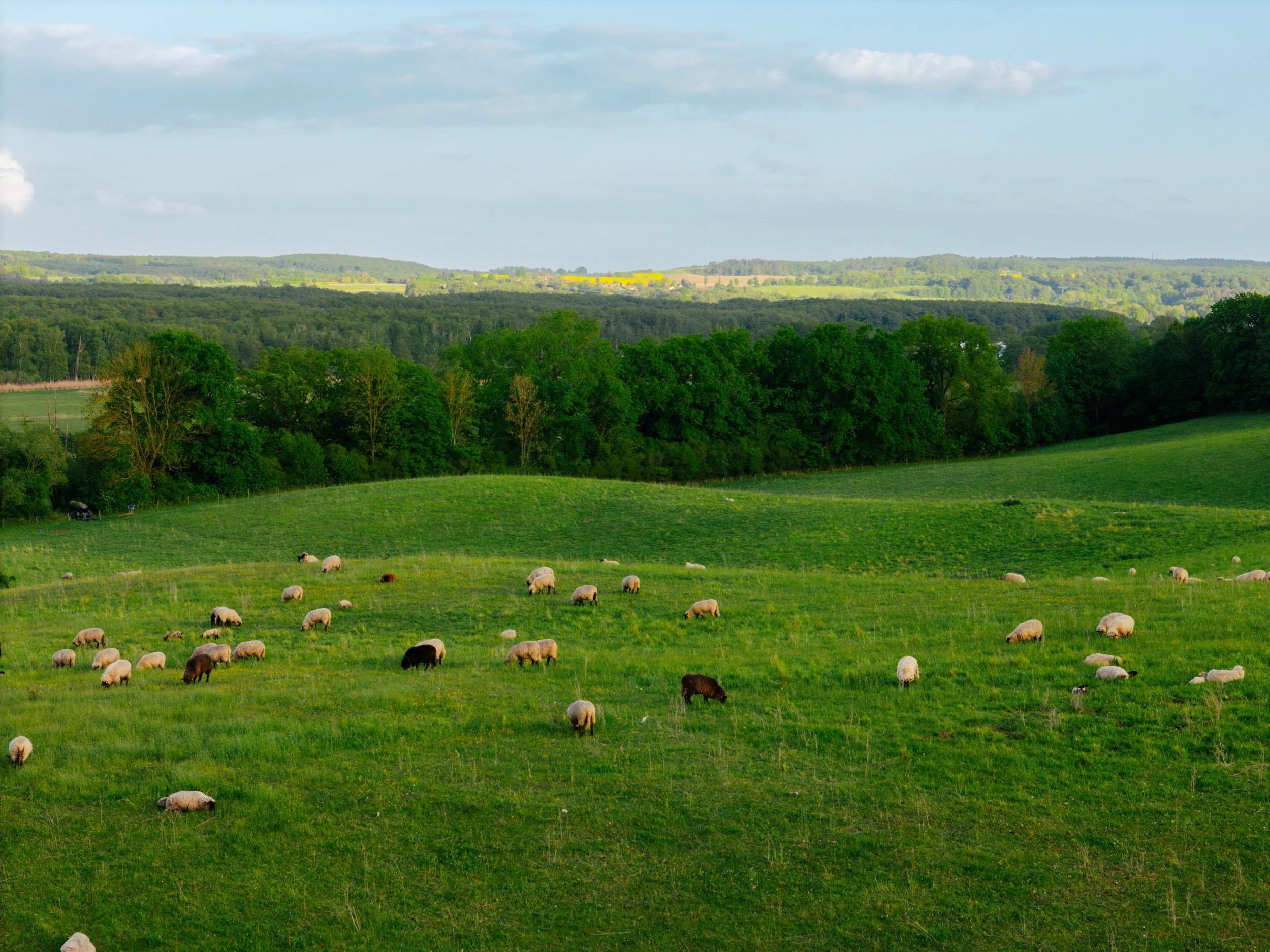 DJI_20260516192558_0262_D.jpg