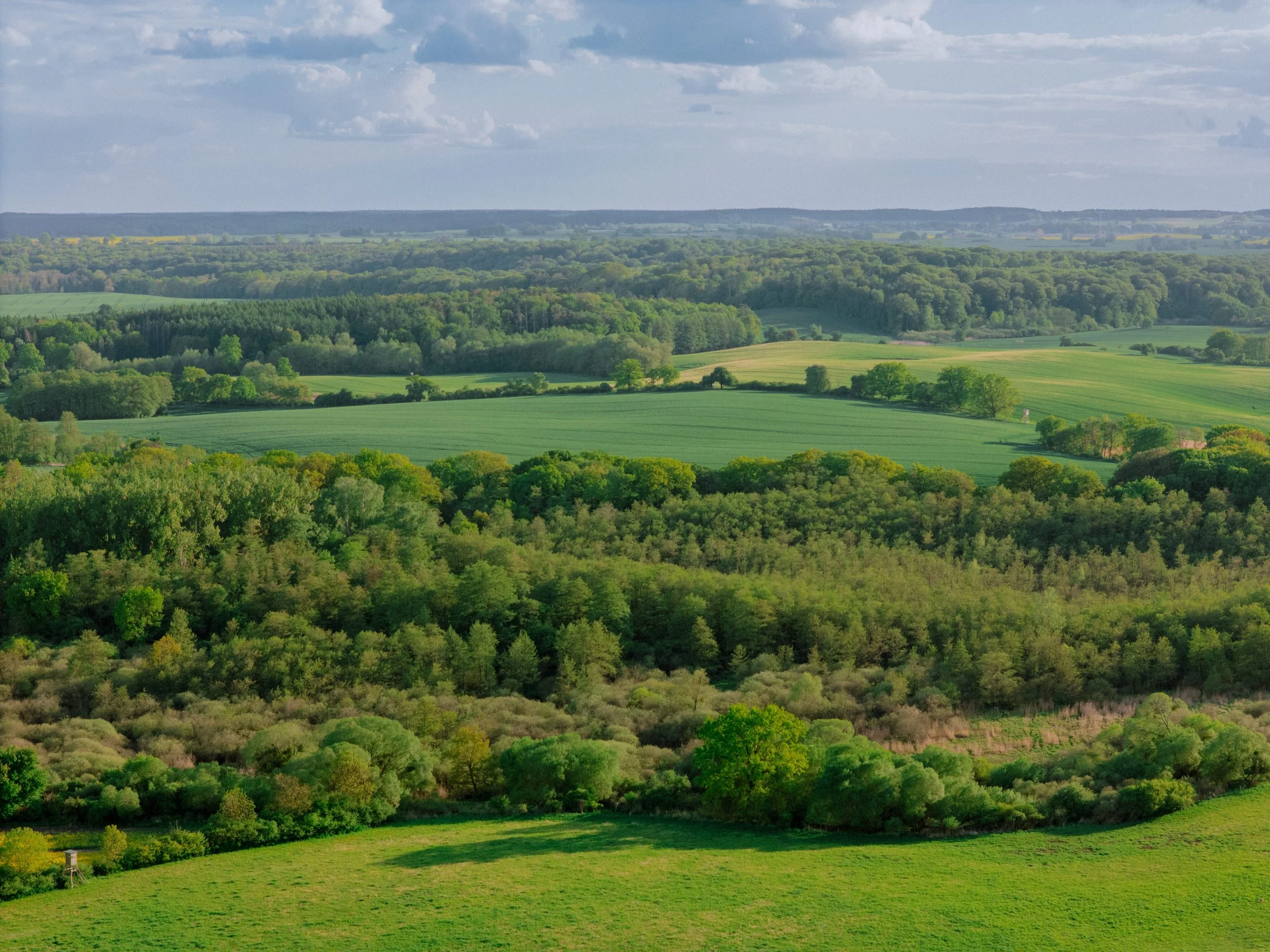 DJI_20260516191259_0257_D.jpg