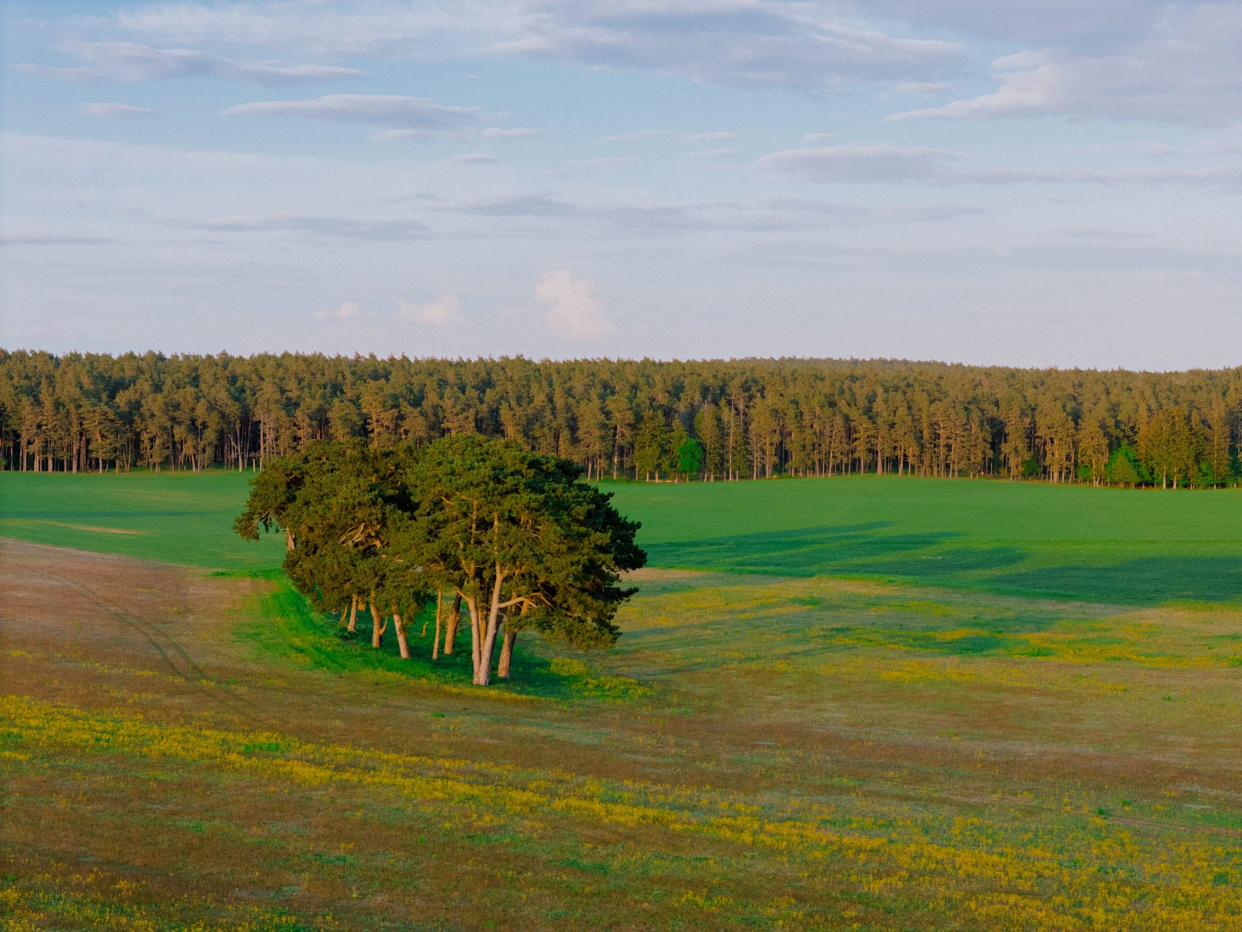 DJI_20260515201610_0236_D.jpg