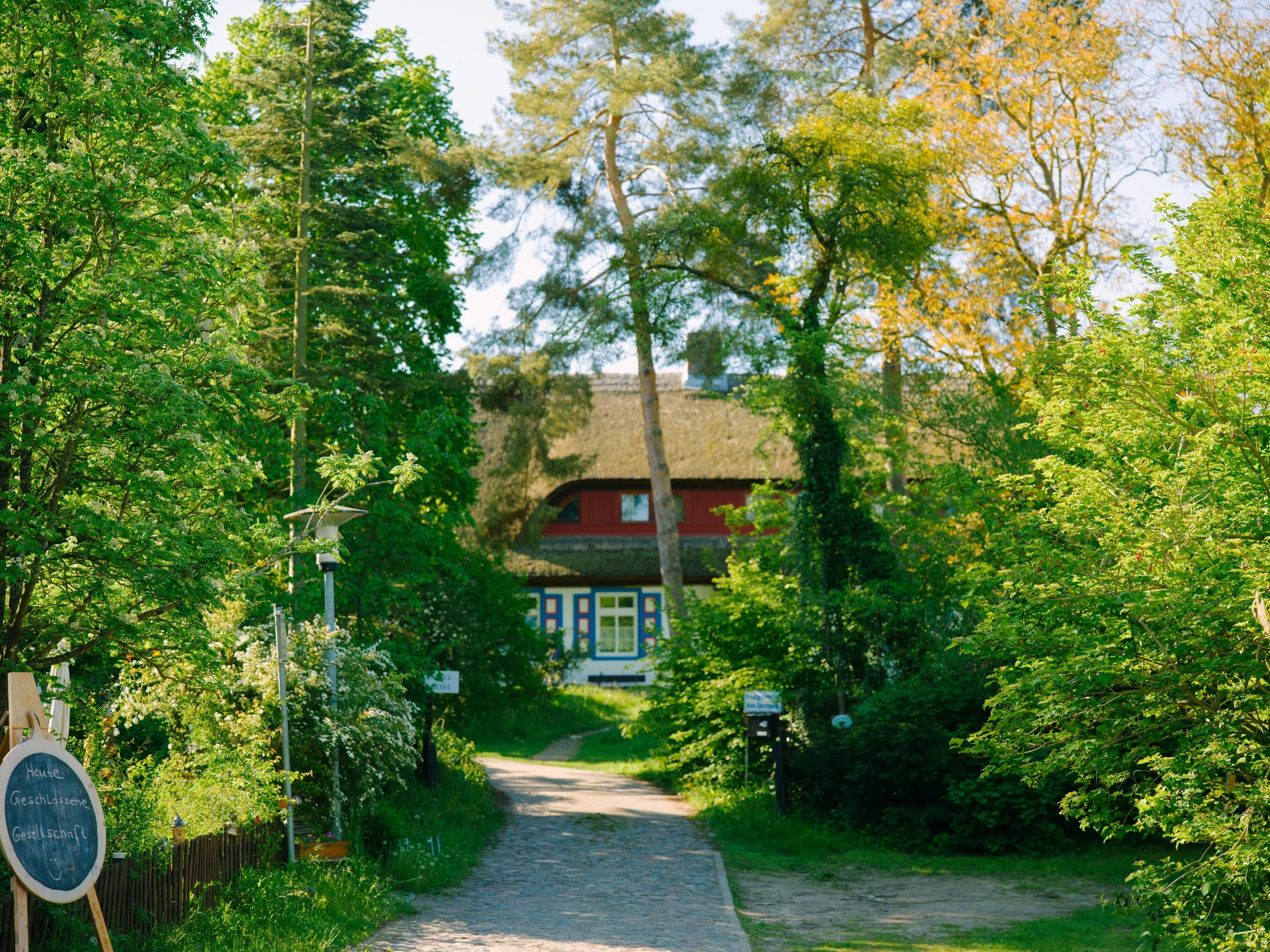 B0000781.jpg