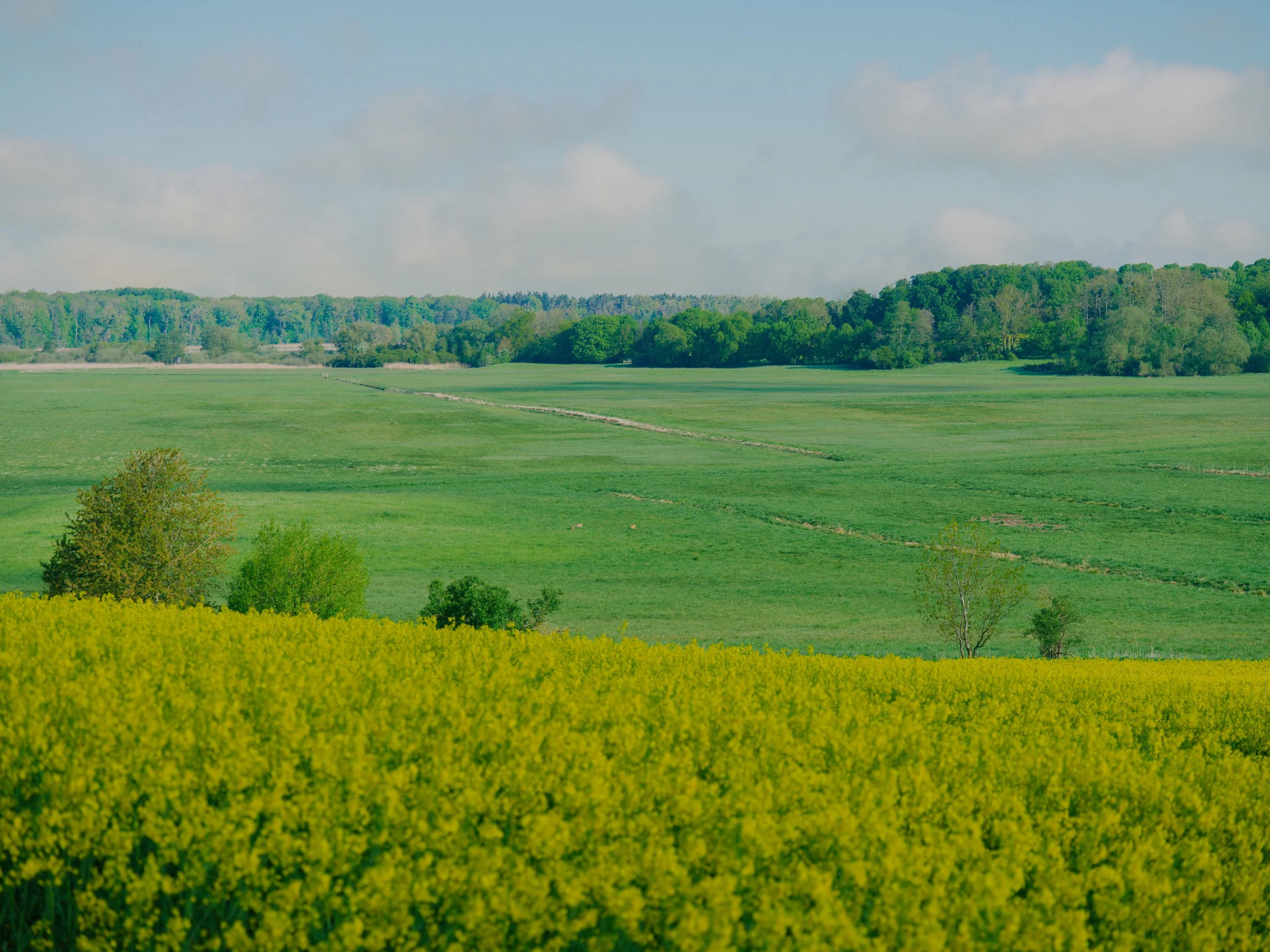 B0000596.jpg