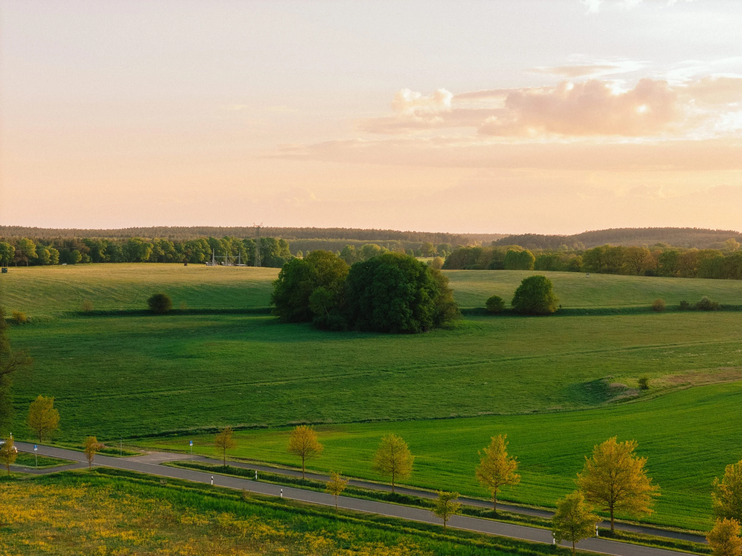 DJI_20260515201556_0235_D.jpg