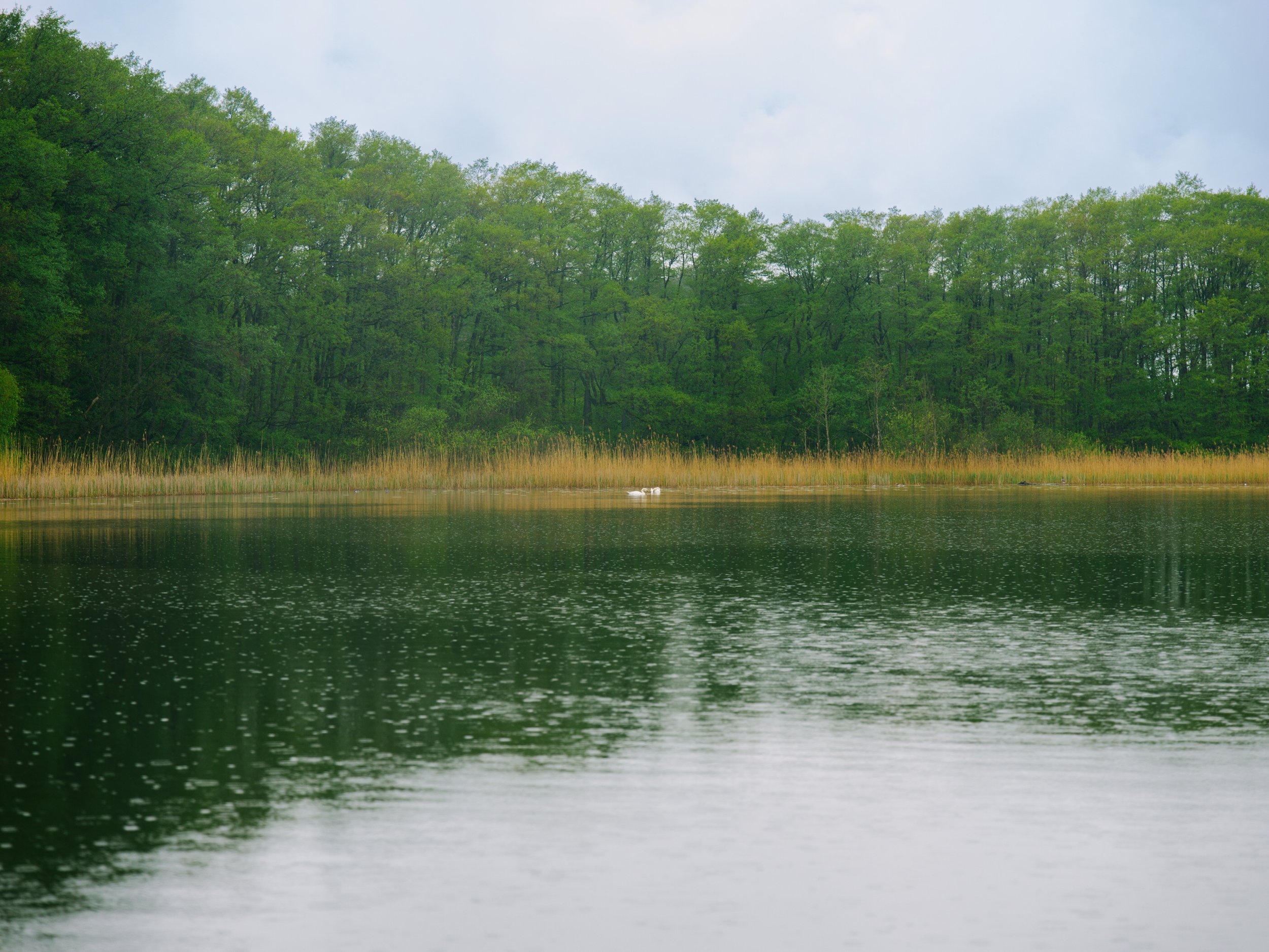 B0000470.jpg