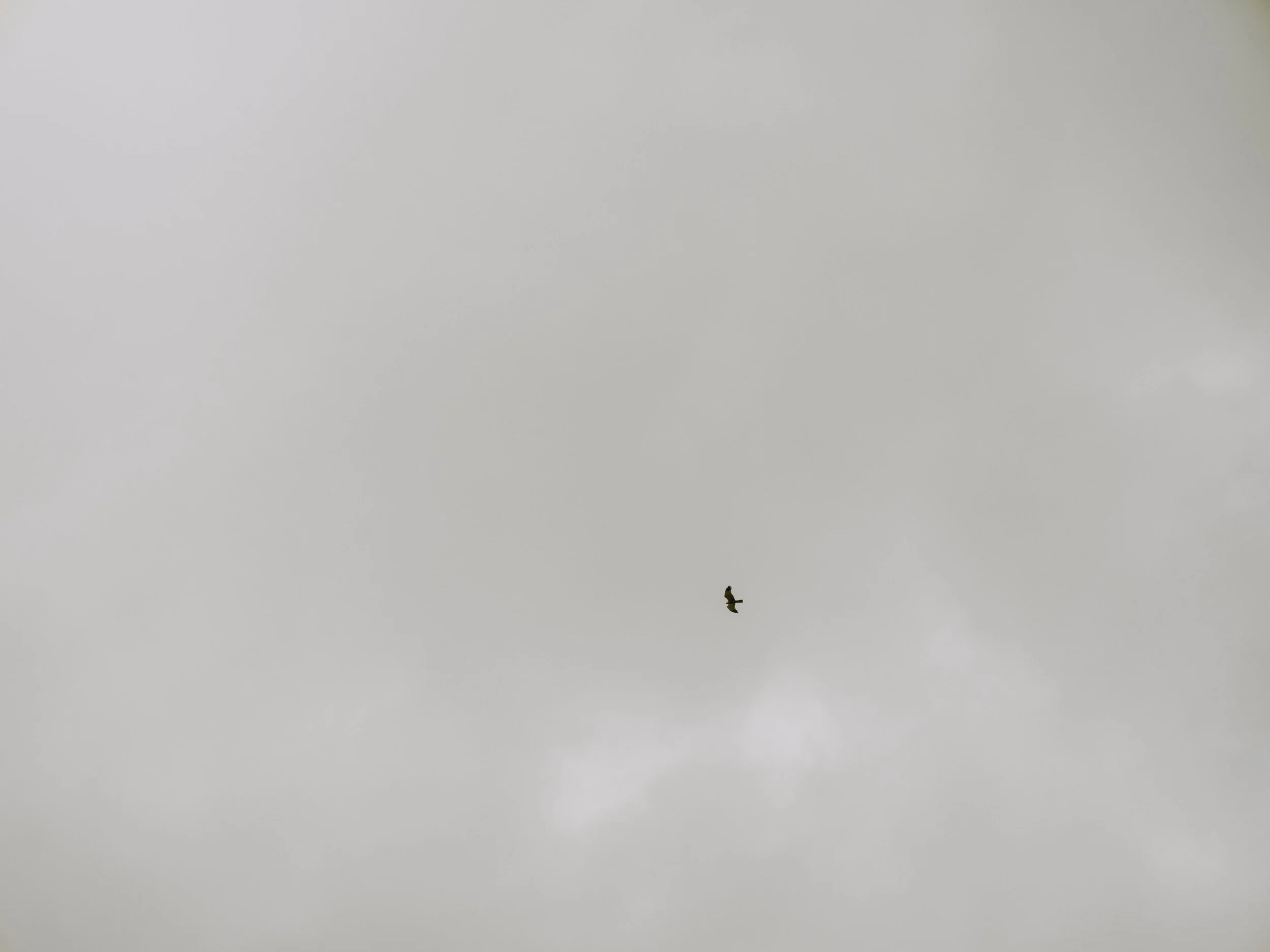B0000722.jpg