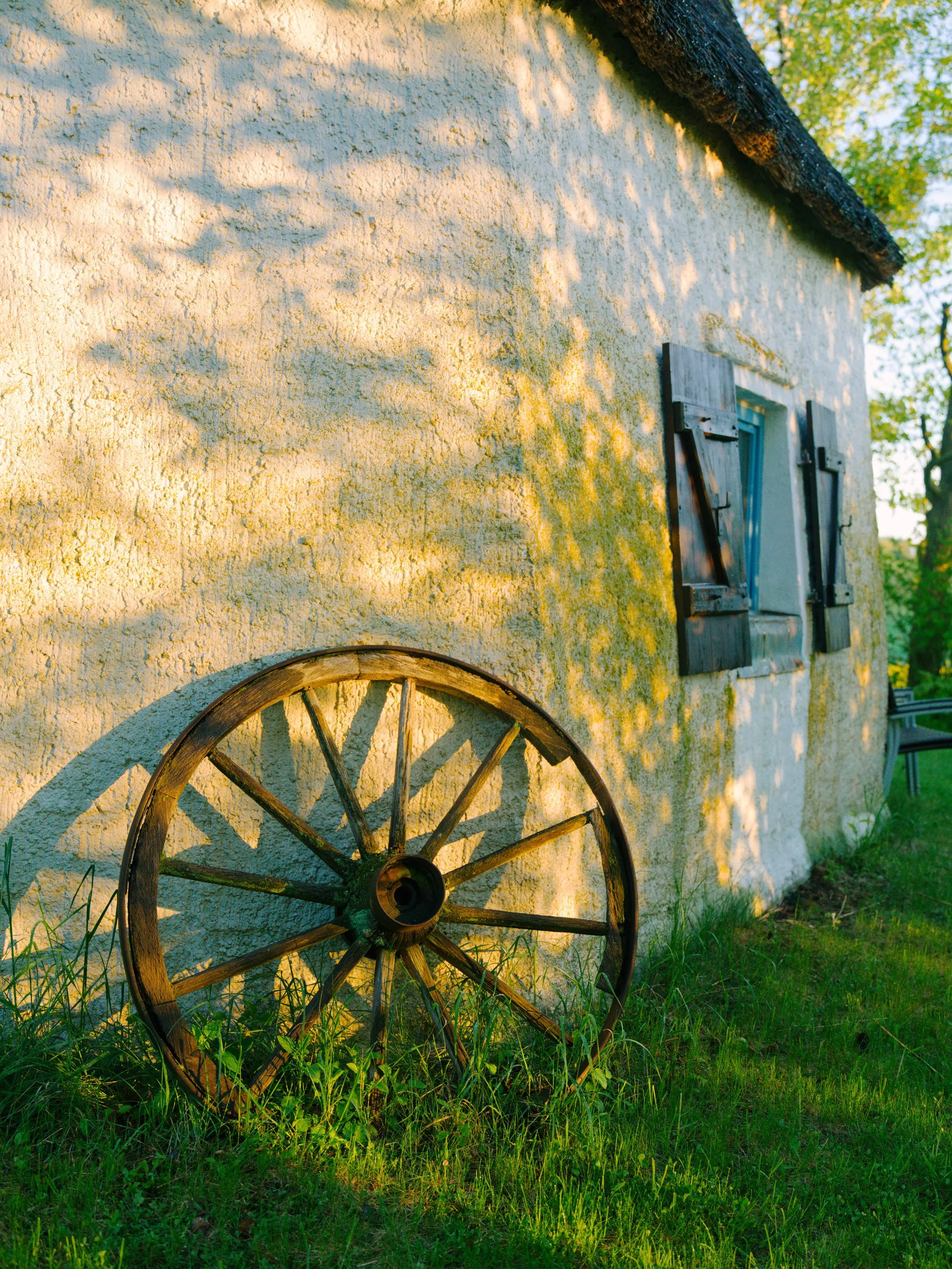 B0000556.jpg