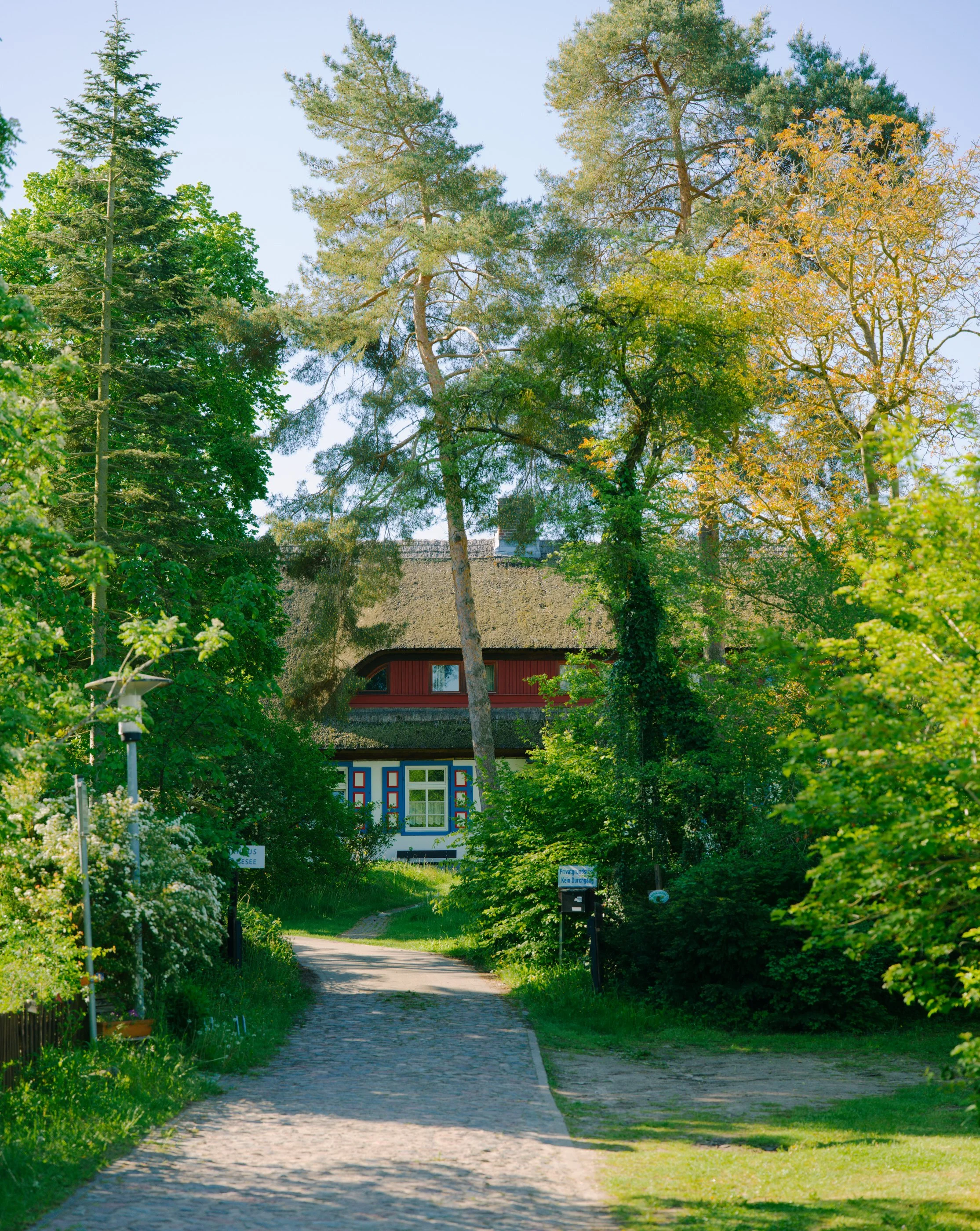 B0000782.jpg